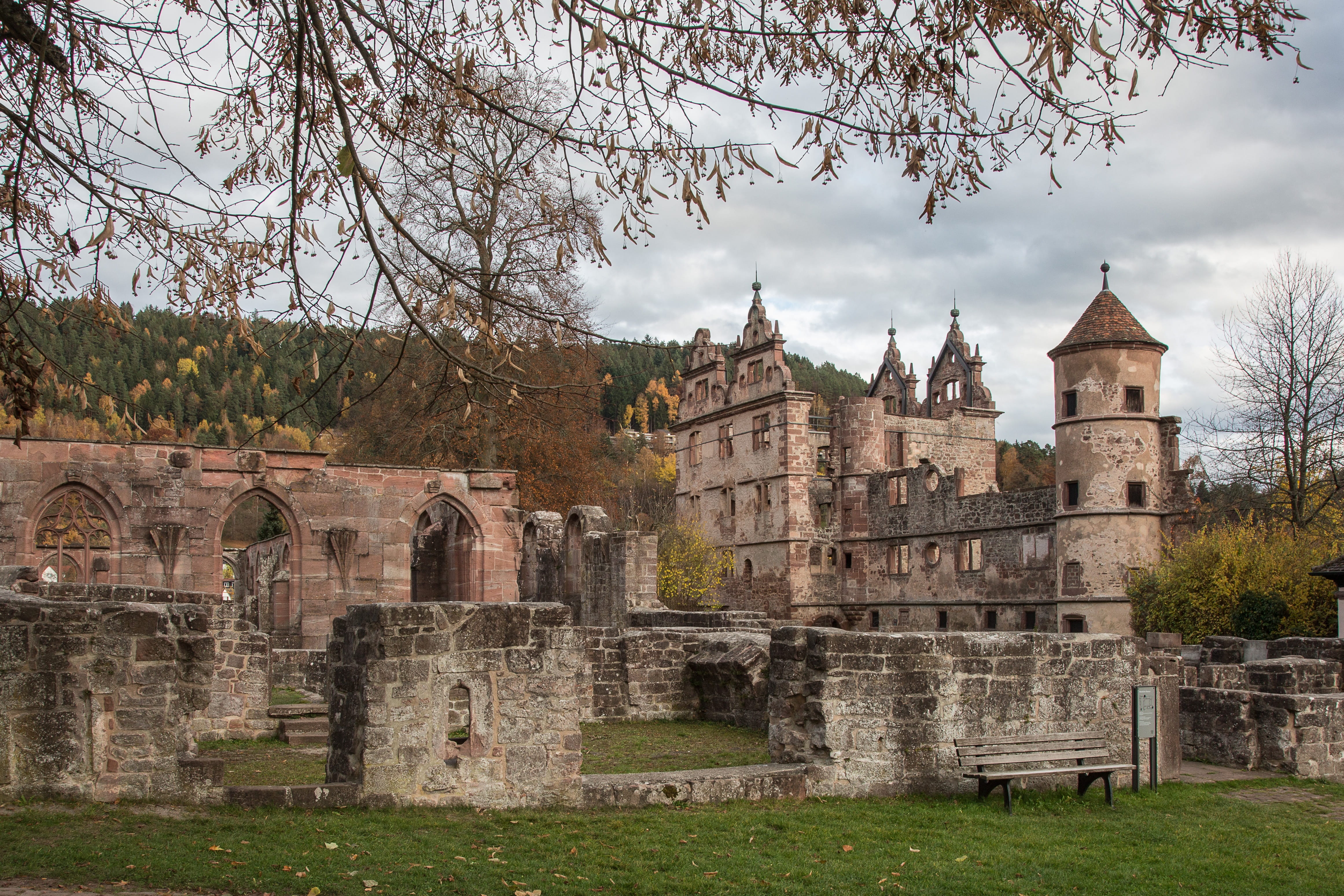 history, day, place of worship, sky, nature, religion, Wall, old, tree, built structure, abbey, travel destinations, outdoors, ruined, travel, Monastery, HD Wallpaper