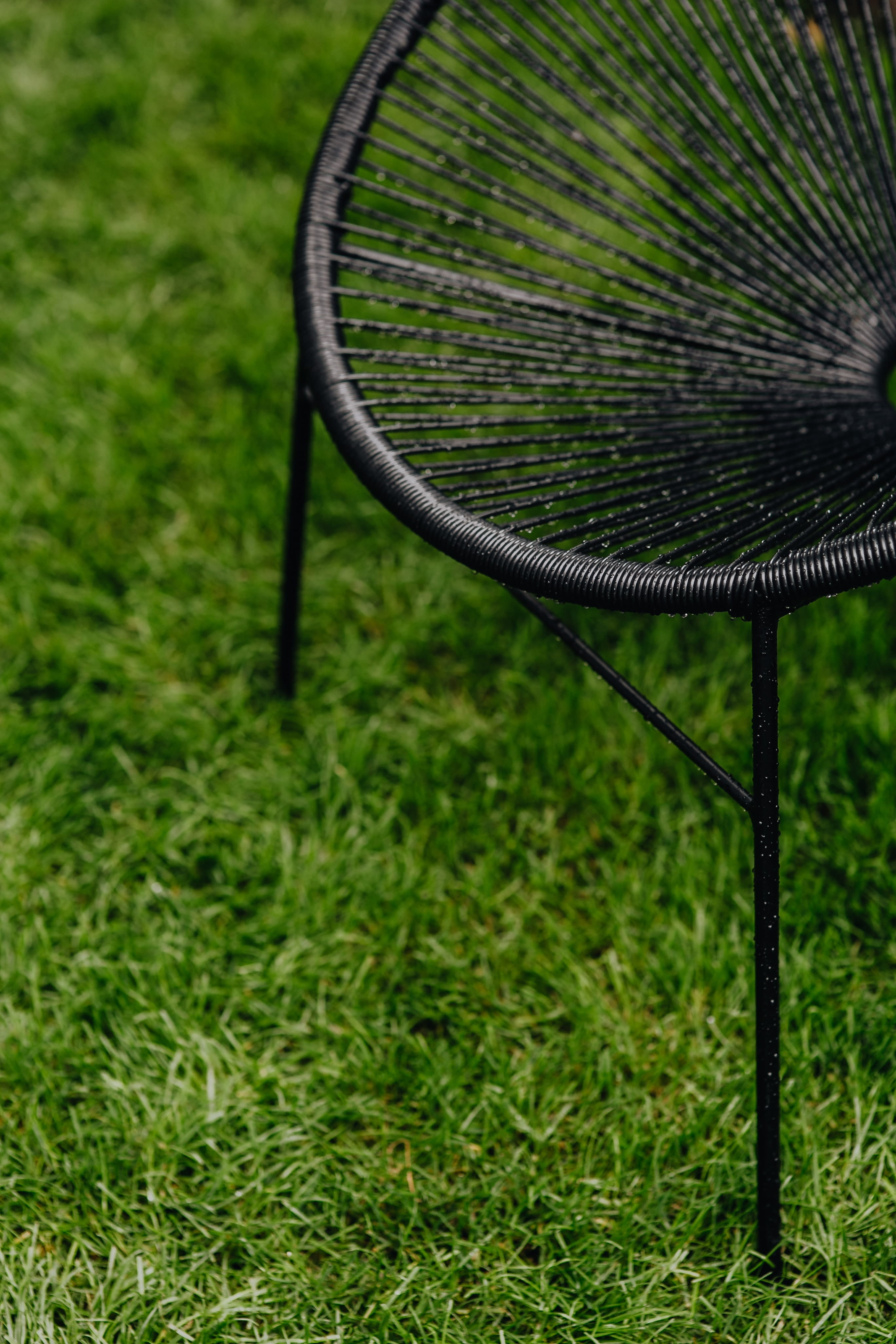 field, lawn, Lounge Chair, acapulco chair, plain, one animal, comfortable, beauty in nature, mexican, s, nature, modern, plant, chair, close-up, no people, Phone HD Wallpaper