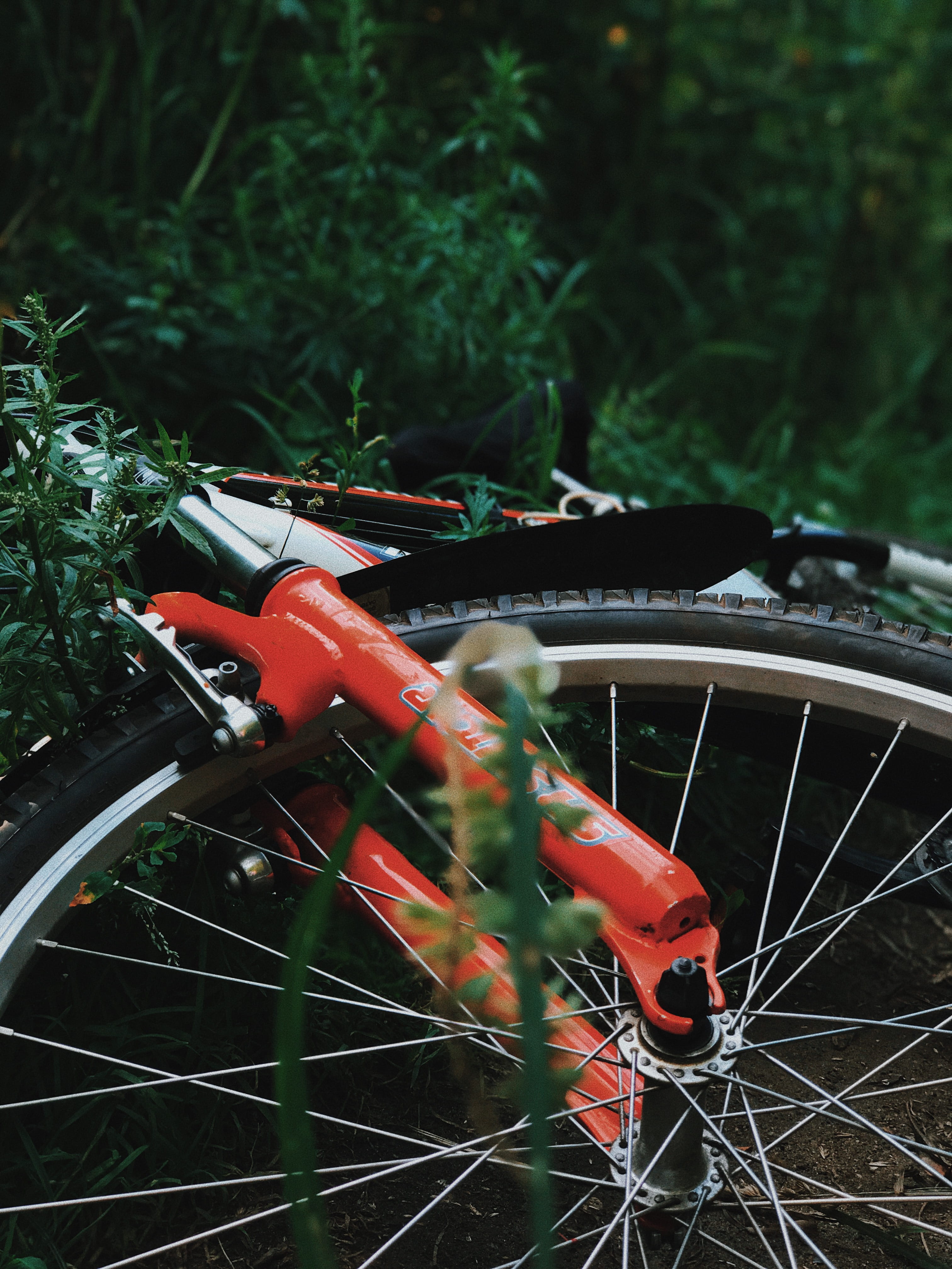 halter, tarmac, red, selective focus, day, spiral, nature, 4K, rotor, bicycle, outdoors, green color, focus on foreground, stationary, mountain bike, land vehicle, Phone HD Wallpaper