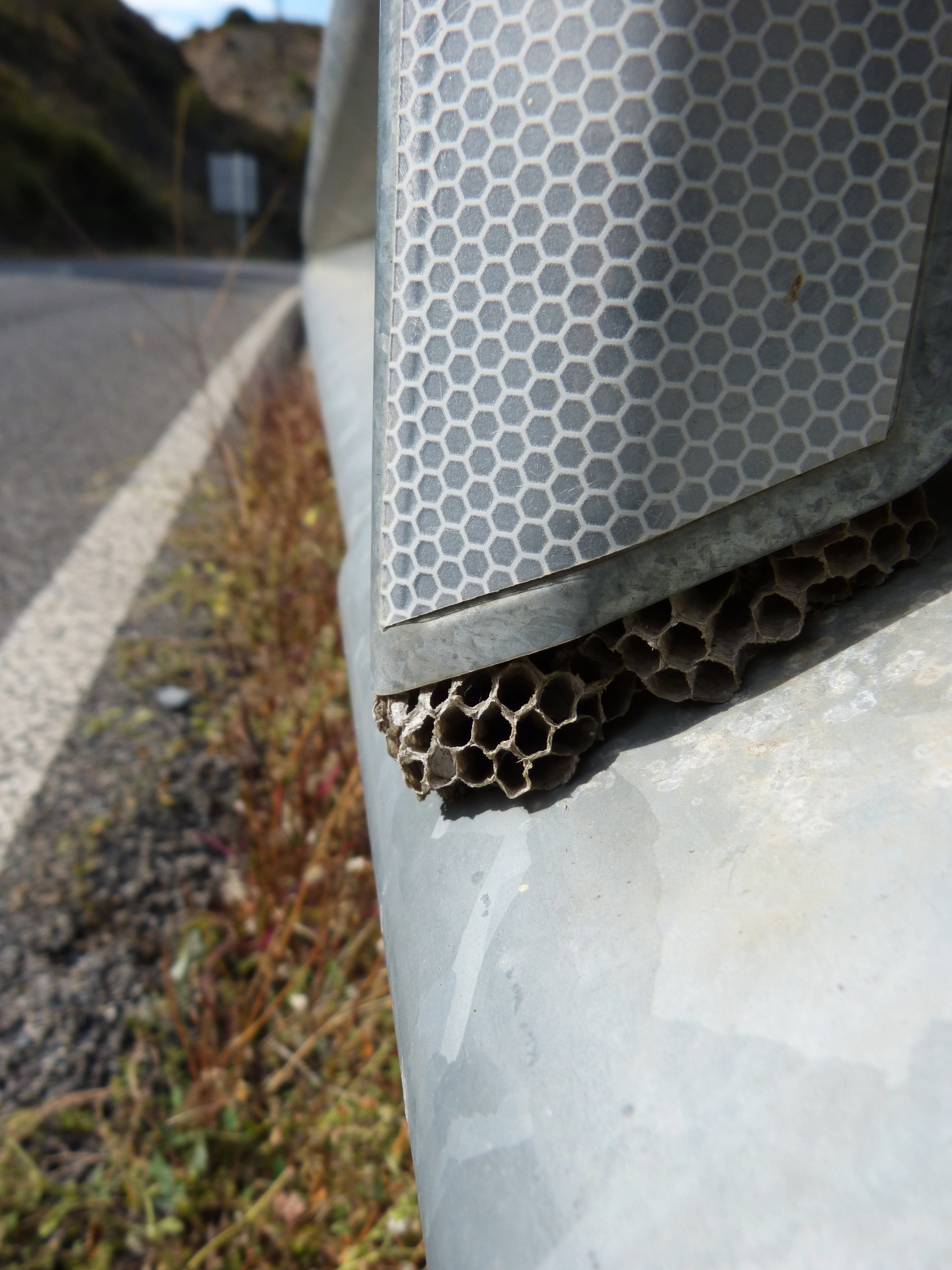 it wasp swarm, alloy, coincidence, nature, built structure, plant, metal, focus on foreground, hexagon, pattern, honeycomb, steel, 4K, footpath, selective focus, Phone HD Wallpaper