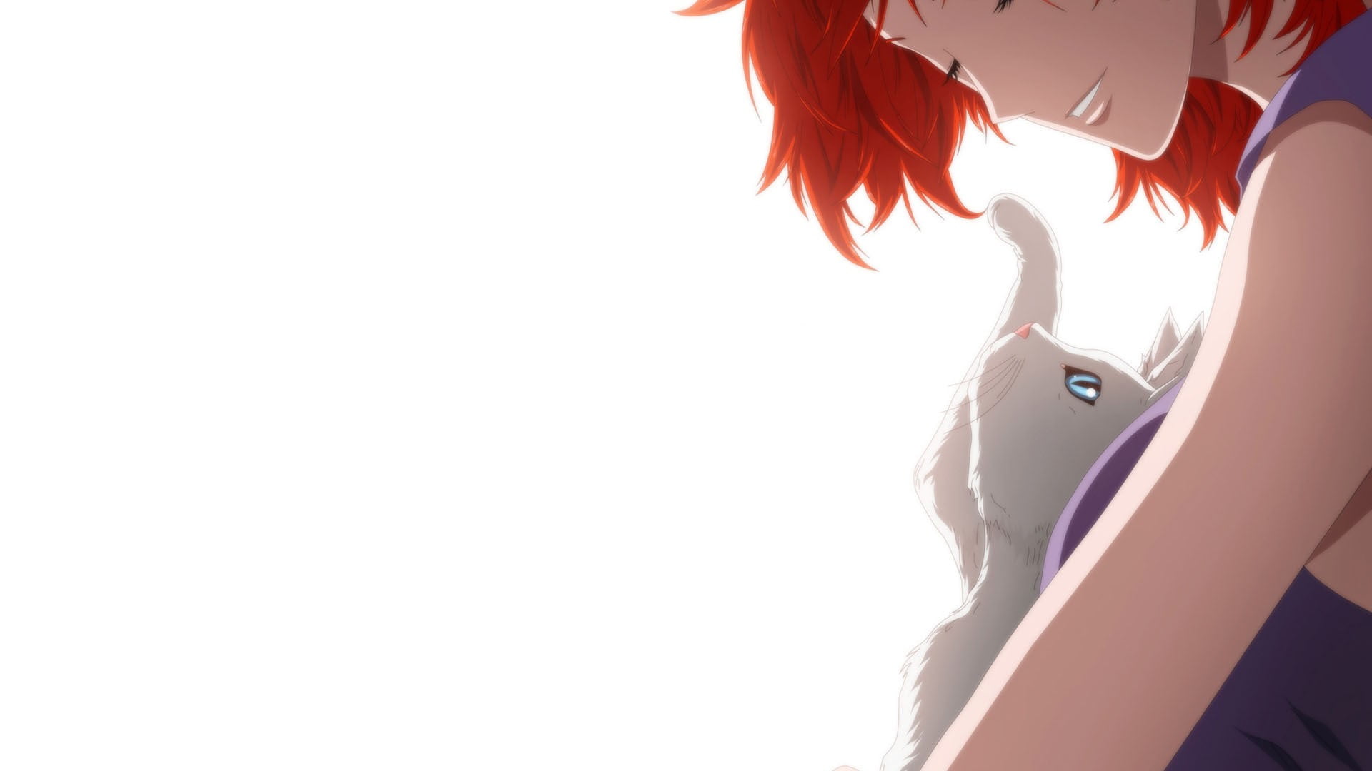 cat, female, representation, low angle view, gray, 1080P, copy space, Jin-le Kwon, red, holding, day, outdoors, clear sky, vertebrate, haired, character, HD Wallpaper