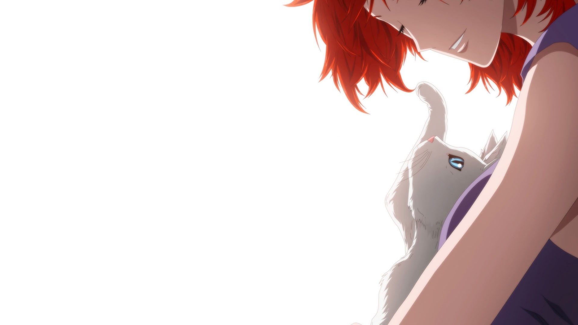 anime, The Breaker, cat, 1080P, Jin-le Kwon, redhead, HD Wallpaper