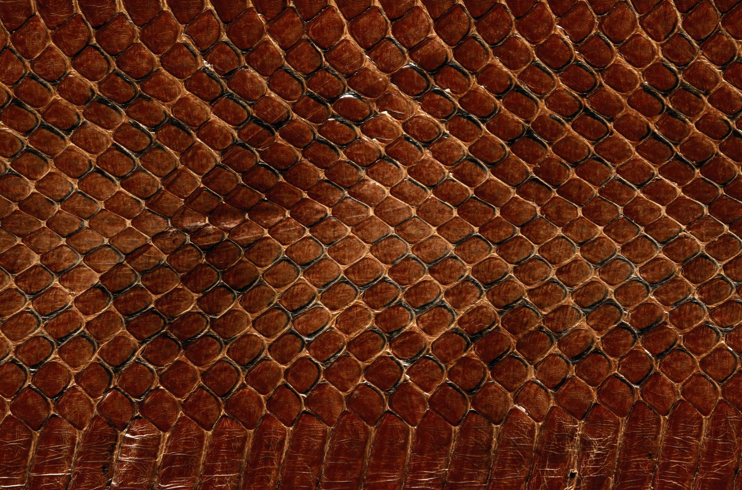 print, full frame, repetition, brick, wall - building feature, snakeskin, 2K, wall, indoors, texture, wood - Material, textured, no People, pattern, large group of objects, HD Wallpaper