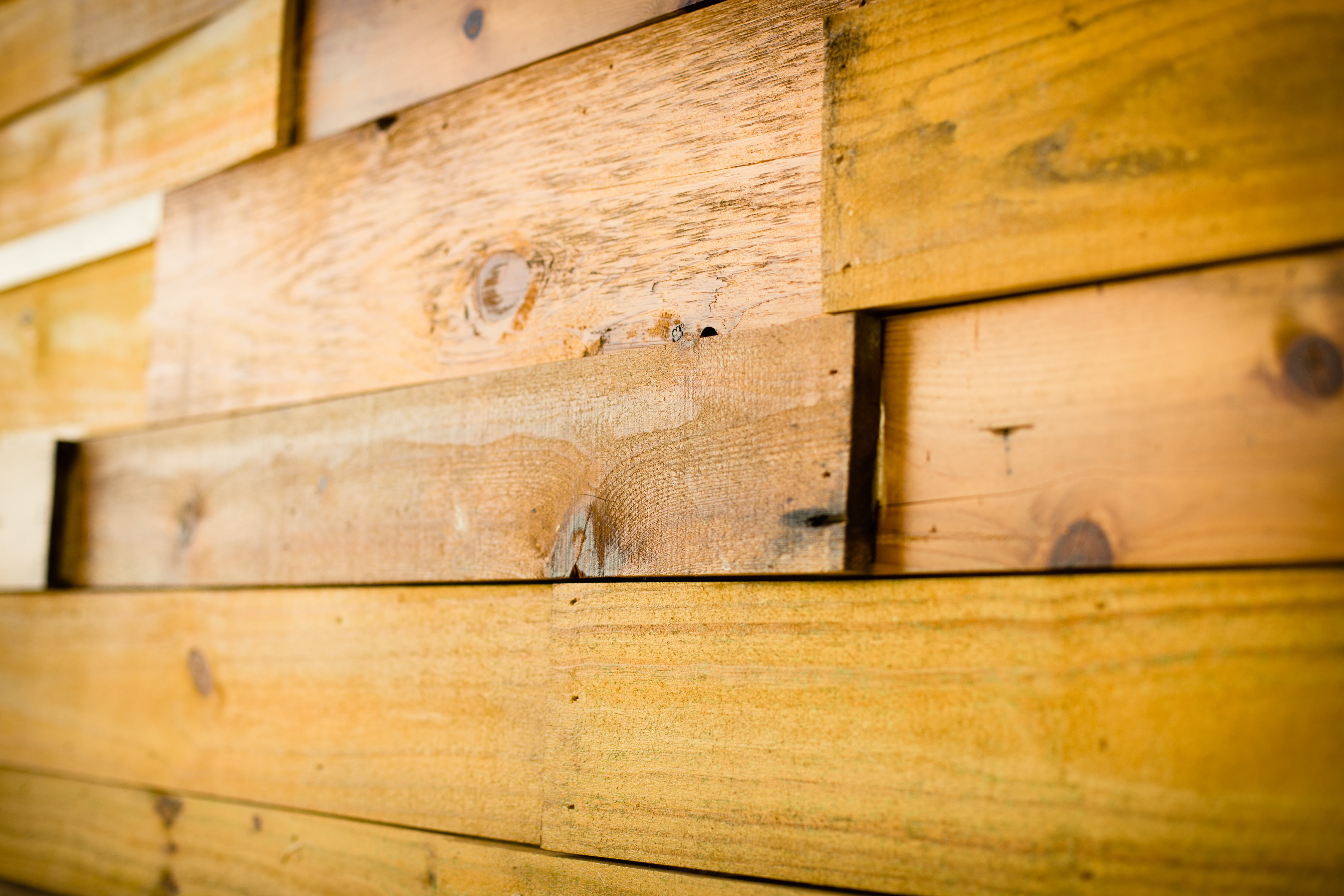 one animal, nature, close-up, box, animal wildlife, apiculture, no people, day, plank, animal themes, selective, insect, wooden, brown, 5K, yellow, wood, HD Wallpaper