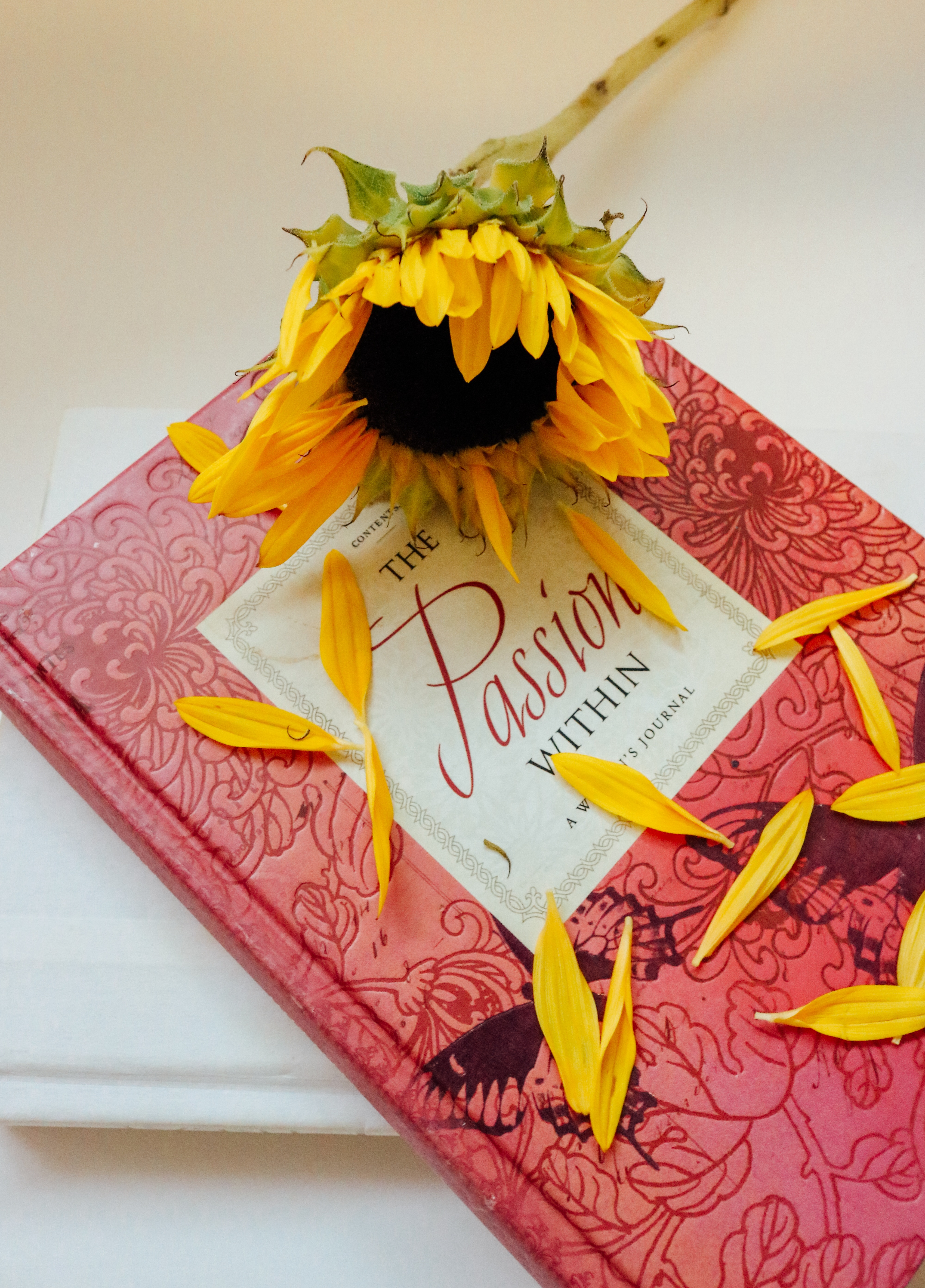 freshness, sunflower, close-up, guide, flowering plant, diary, flower head, plant, communication, flower, high angle view, red, book, still life, literature, Phone HD Wallpaper