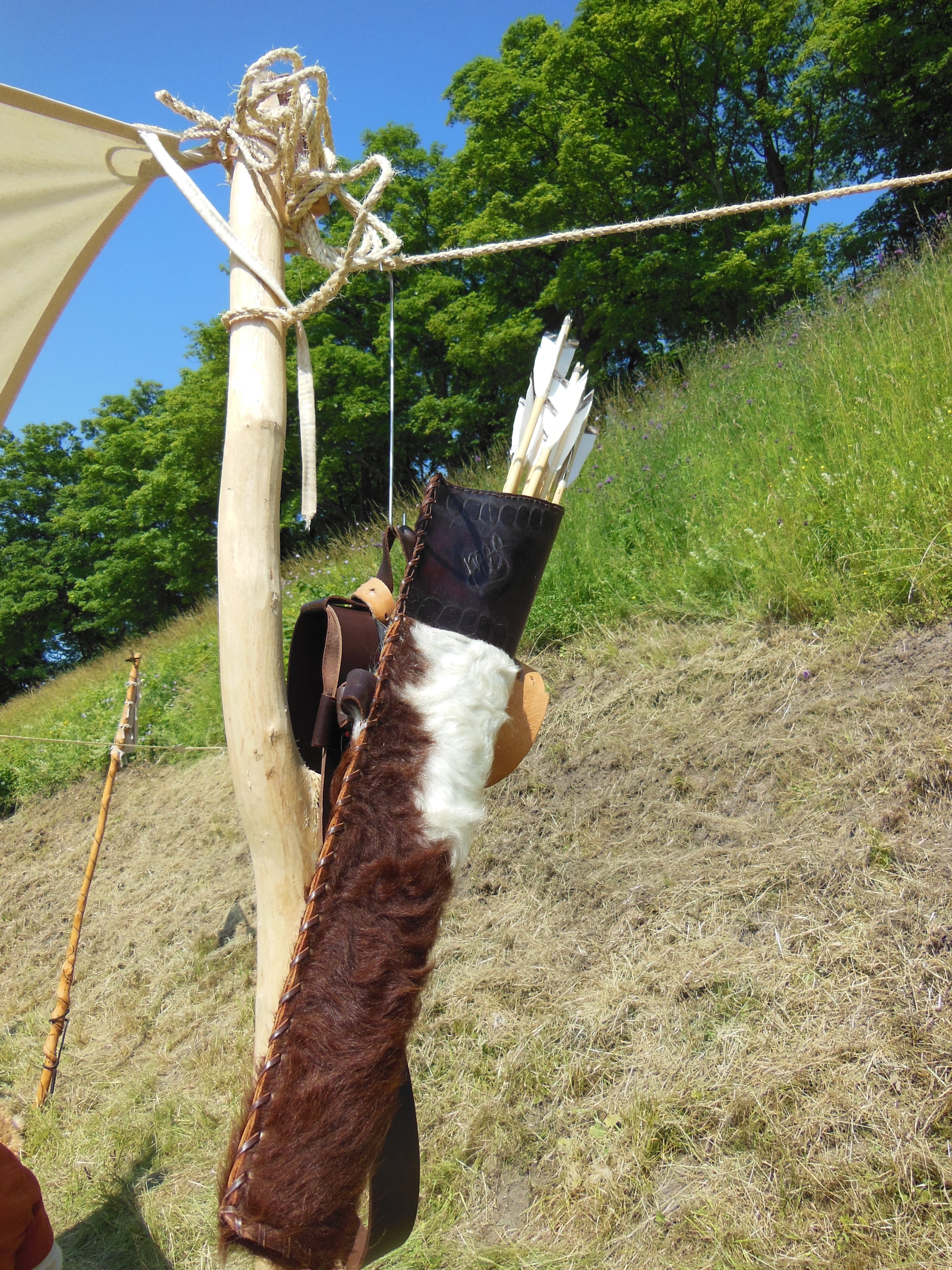 black, leather straps, medieval, field, animal wildlife, trees, summer, domestic animals, nature, bag, handmade, leather, arrow quiver, animal, mammal, Phone HD Wallpaper