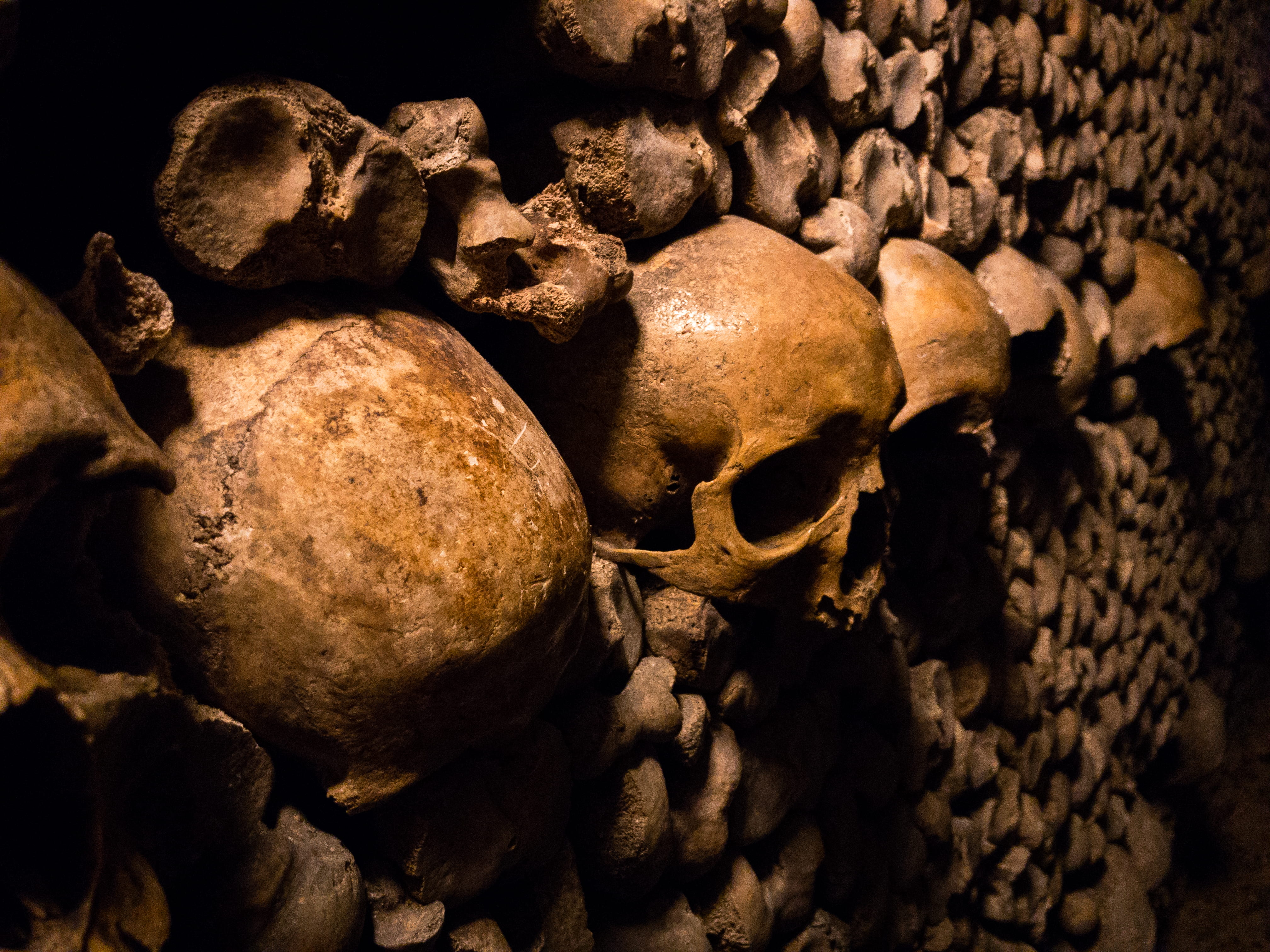 skulls, representation, skeleton, human representation, architecture, indoors, skull, dark, emboss, the past, history, archaeology, bone, human bone, spooky, HD Wallpaper