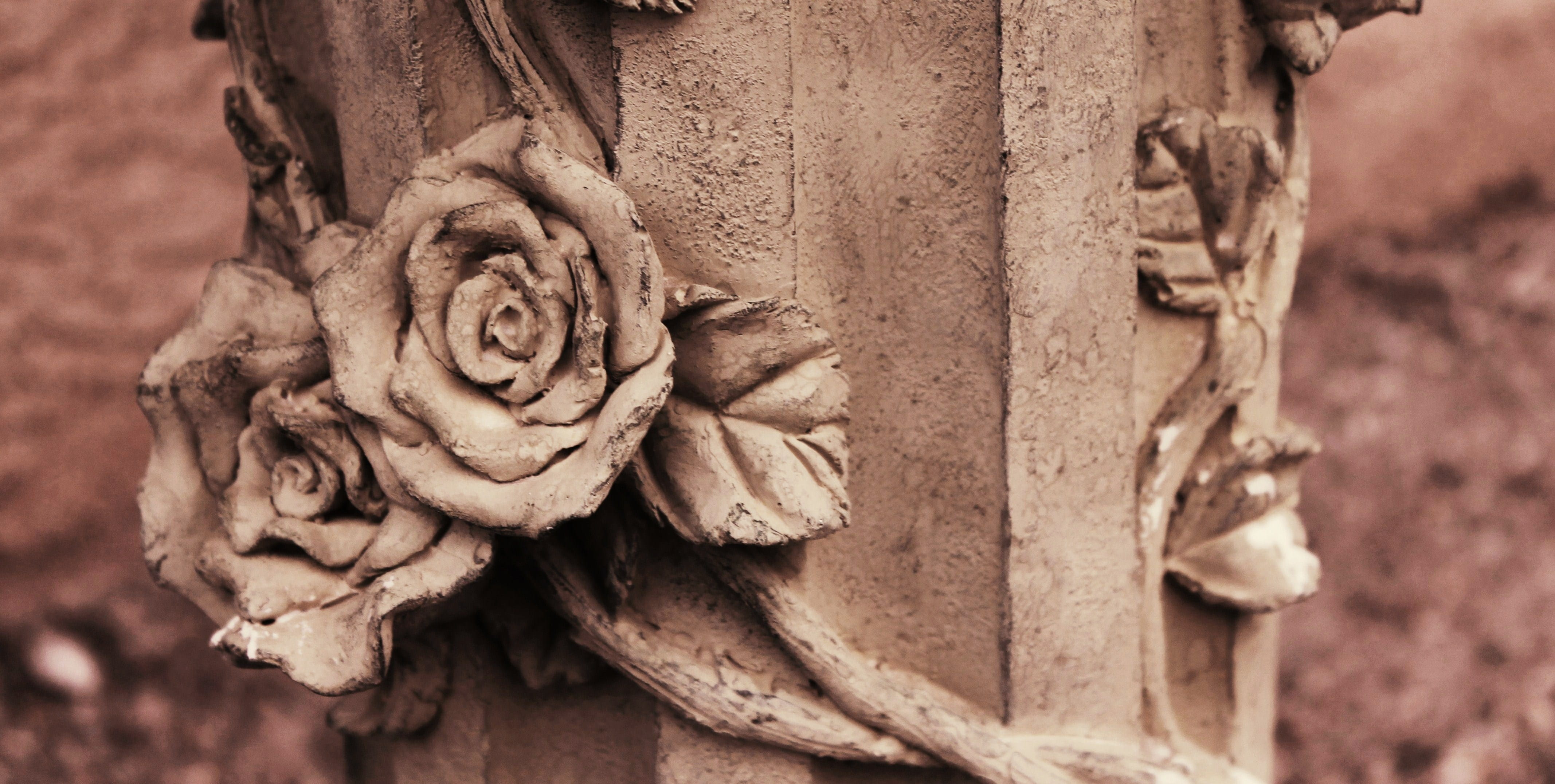 statue, history, day, desktop background, vintage, rose art, amber avalona, ornate, no people, stone material, pattern, roses, old, art and craft, garden statue, HD Wallpaper
