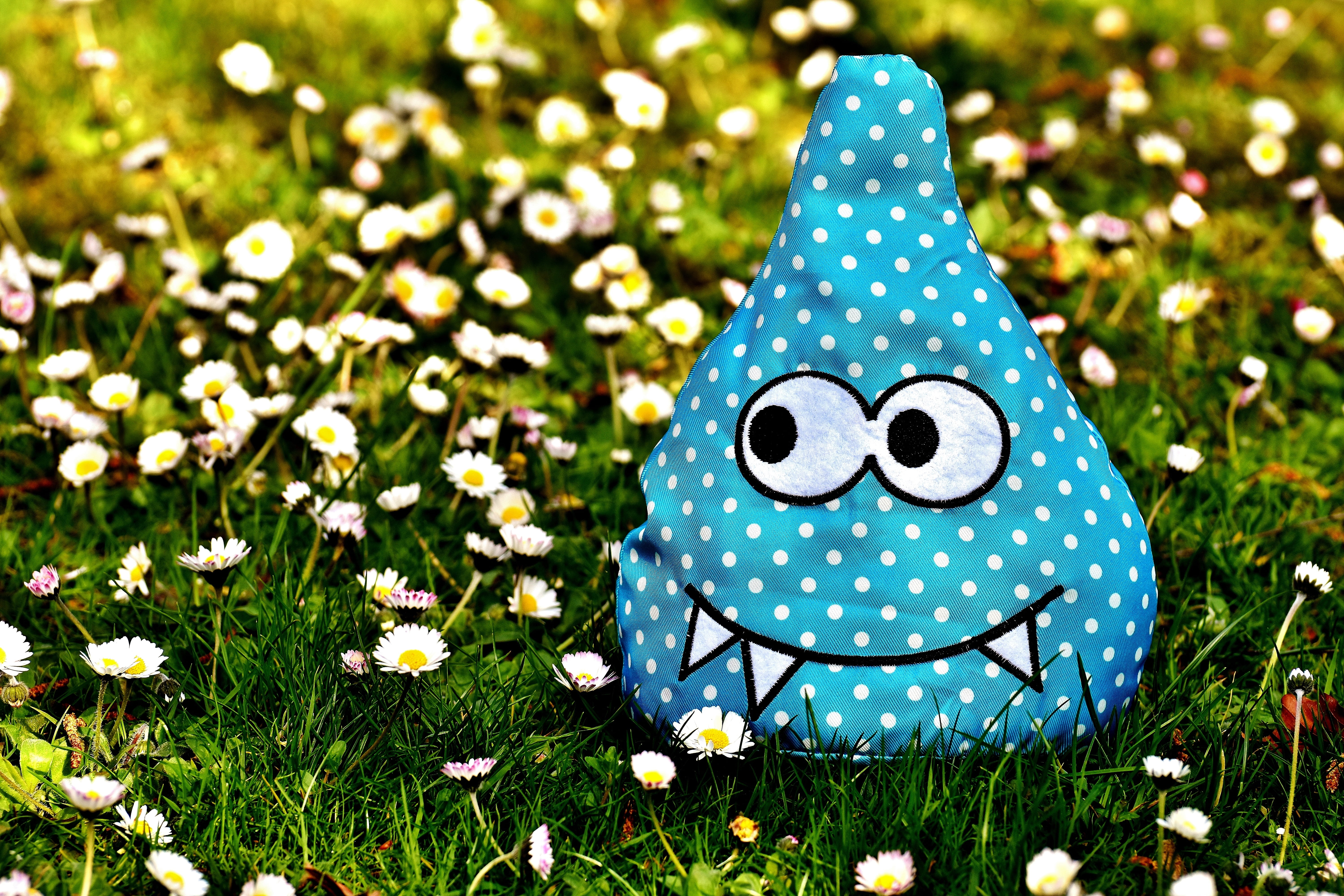 cute, flowers, friendly, growth, white, land, smiley, spotted, funny, 5K, flower meadow, daisy, floral, figure, plush, focus on foreground, green color, HD Wallpaper