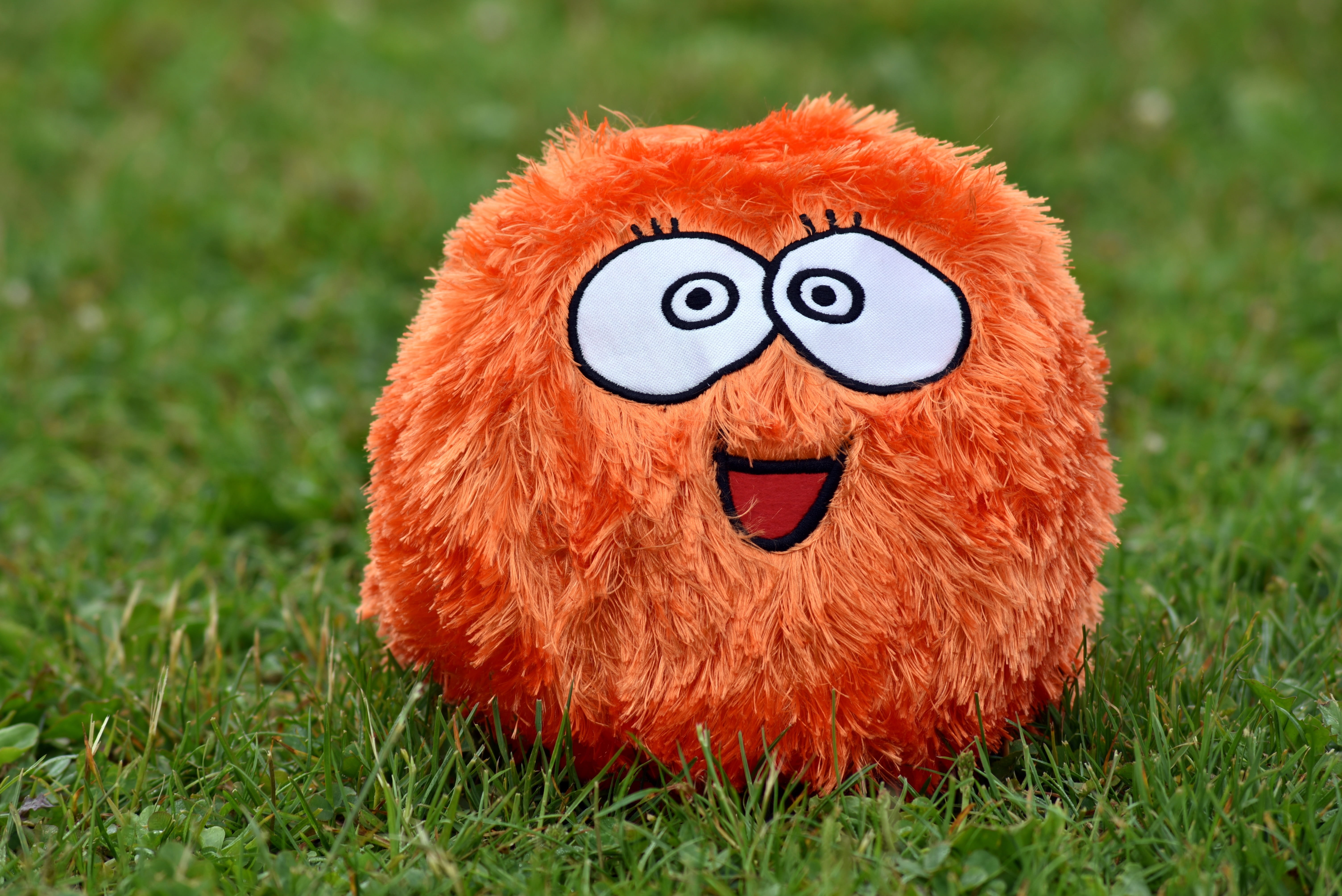 eyes, hairy, funny, plant, humor, play, animal representation, orange, rush, fluffy, day, sport, mammal, about, green color, art and craft, craft, happy, HD Wallpaper