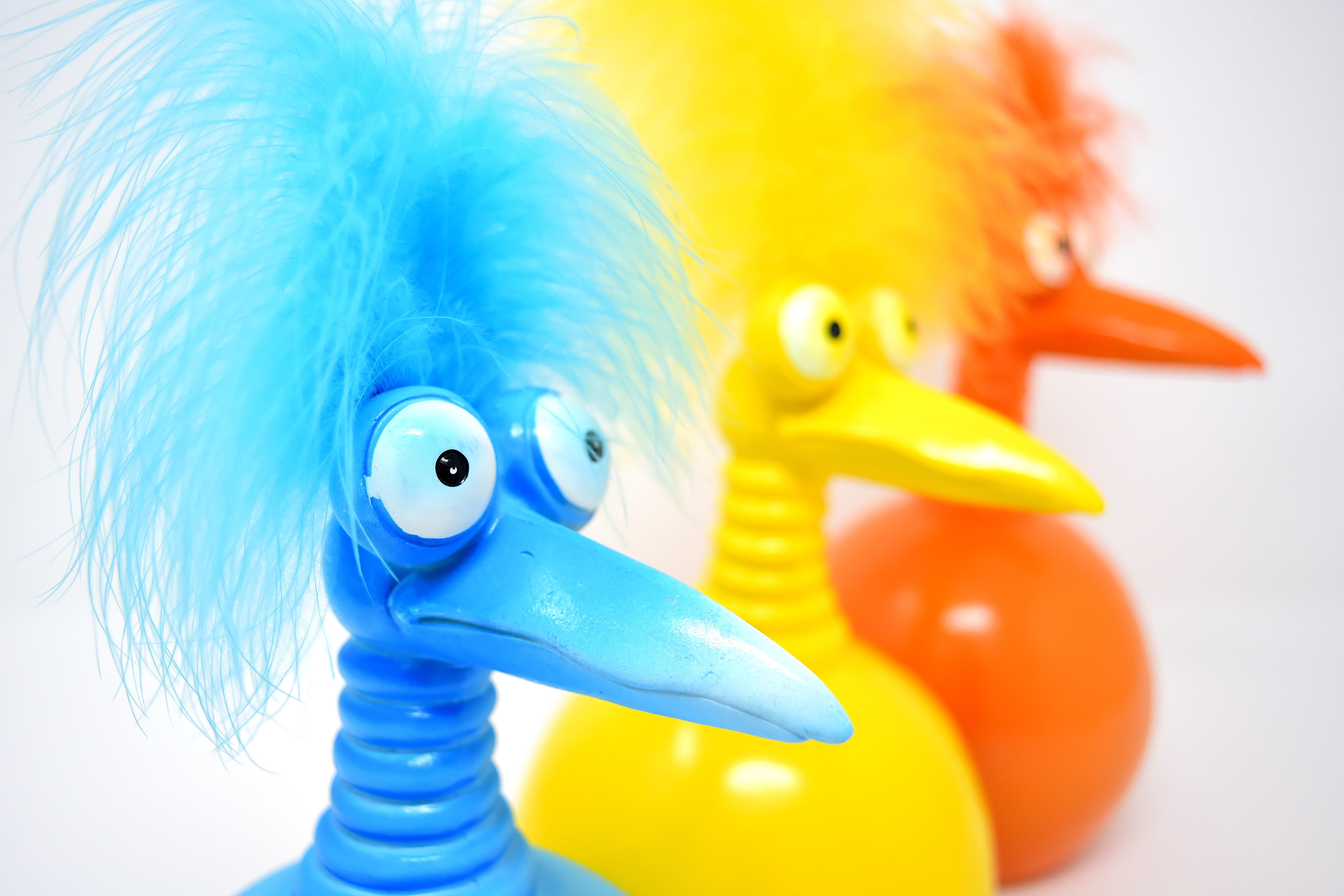 5K, fun, vibrant color, indoors, animal, multi colored, rubber duck, colorful, water, animal body part, underwater, weird bird, one animal, figure, vertebrate, HD Wallpaper