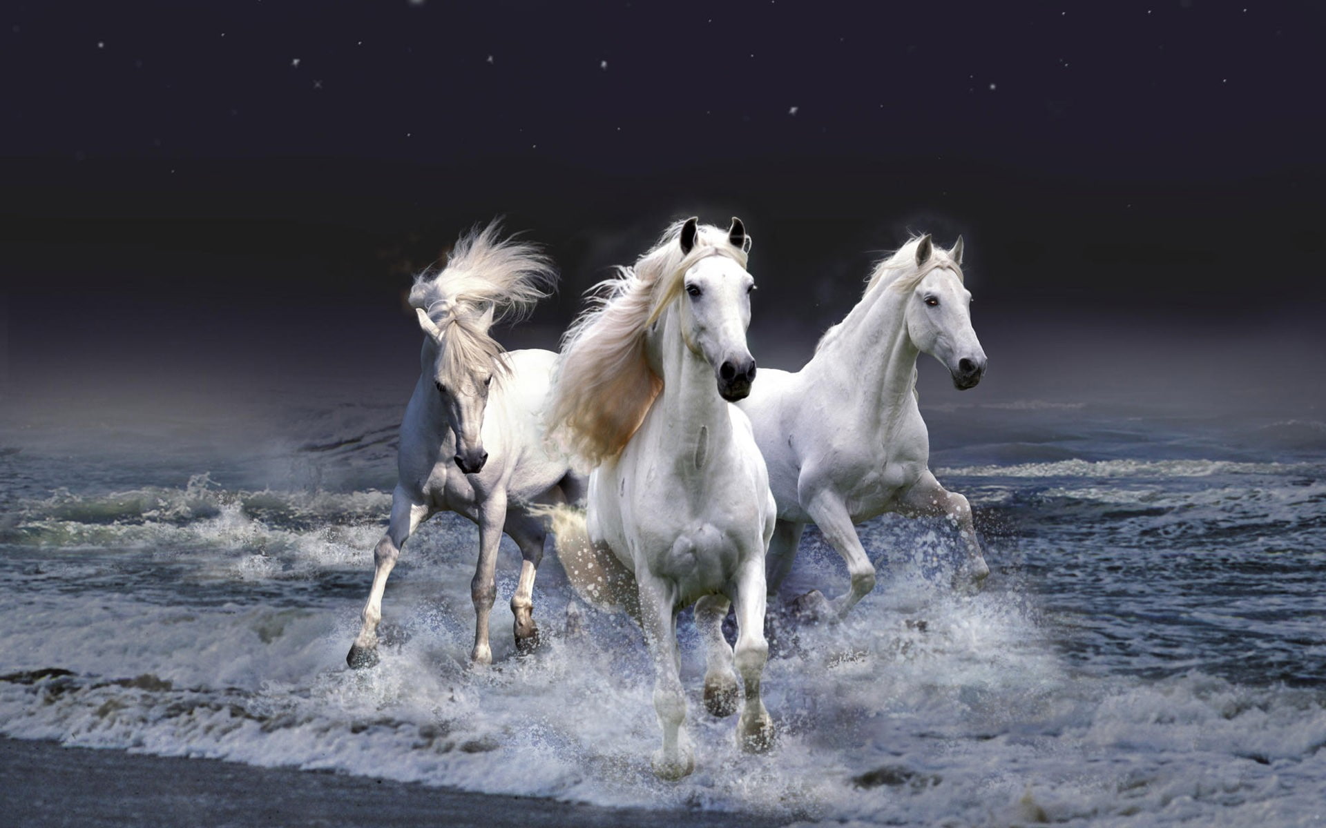 1080P, art, creative, animals, d, x, hd, view, photomanipulation, horses, 3D view, HD Wallpaper