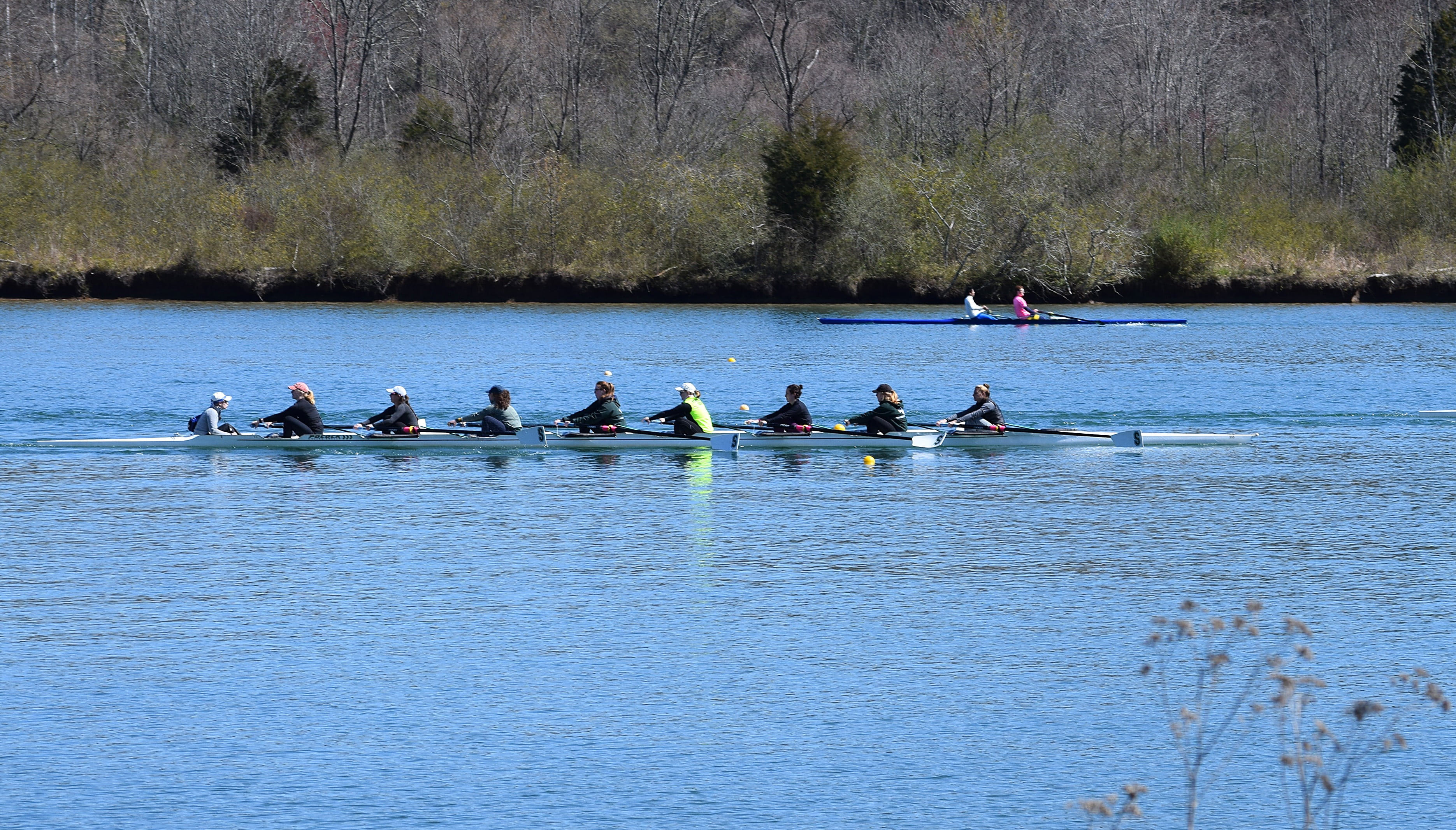 sport, plant, rowboat, mode of transportation, aquatic sport, 2K, real people, cooperation, melton lake, sport rowing, lake, water, nautical vessel, sculling, HD Wallpaper