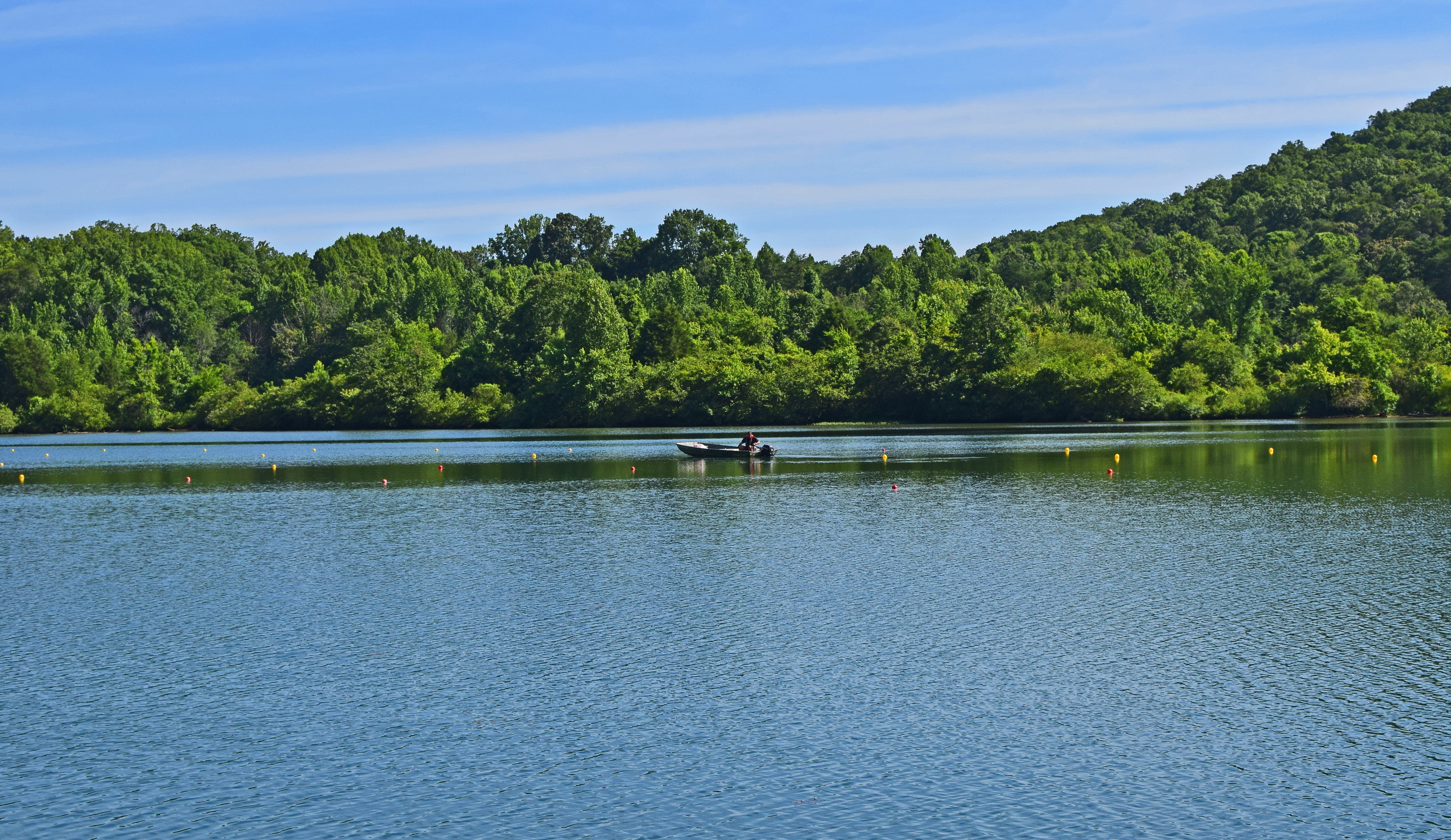tree, coniferous tree, land, sky, growth, tranquility, forest, scenics - nature, boater, green color, non-urban scene, sport, plant, peaceful, clinch river, HD Wallpaper