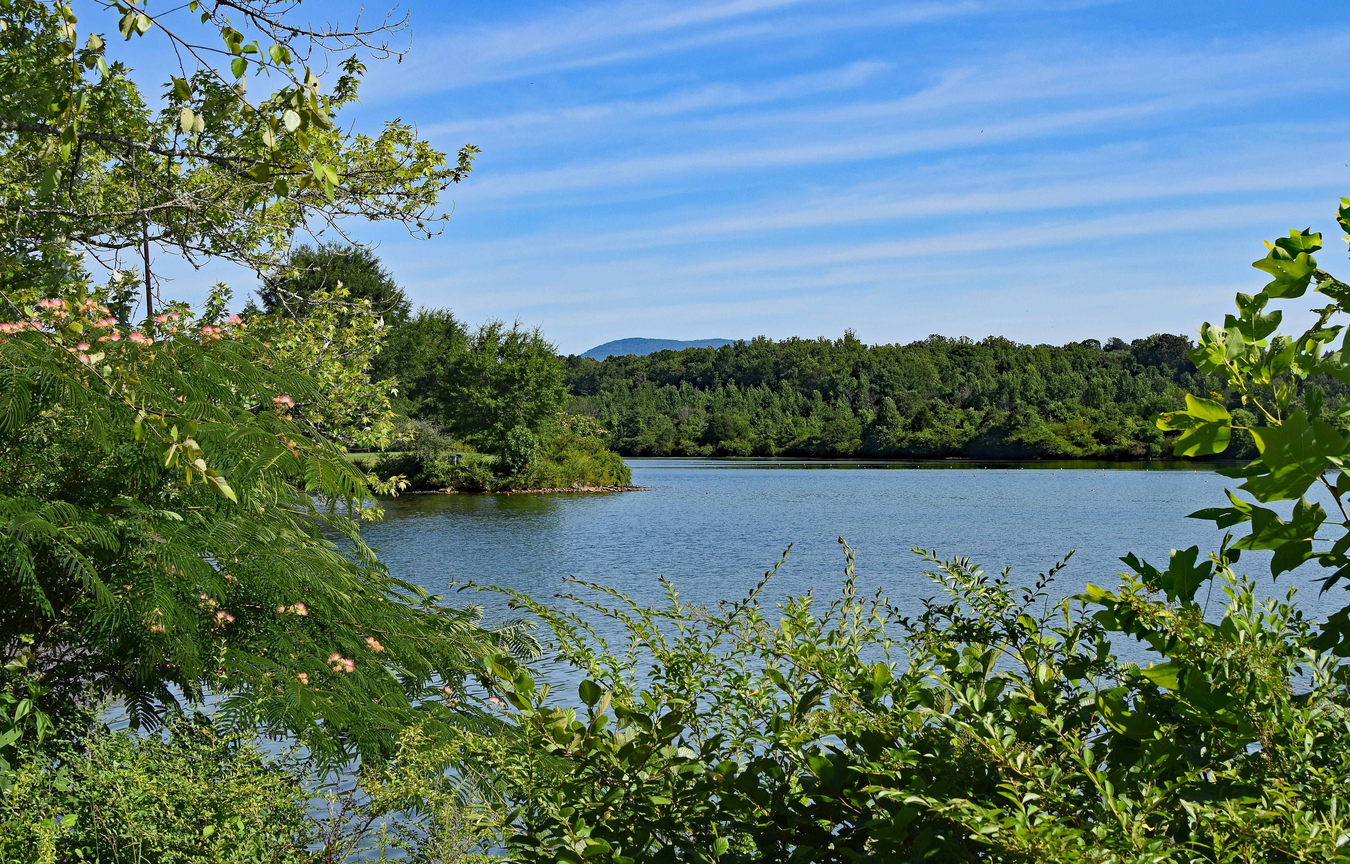 serene, idyllic, water, Tennessee, sky, plant, melton lake, forest, Clinch River, river, blue, tranquility, tranquil scene, Lake, cloud - sky, scenics, HD Wallpaper