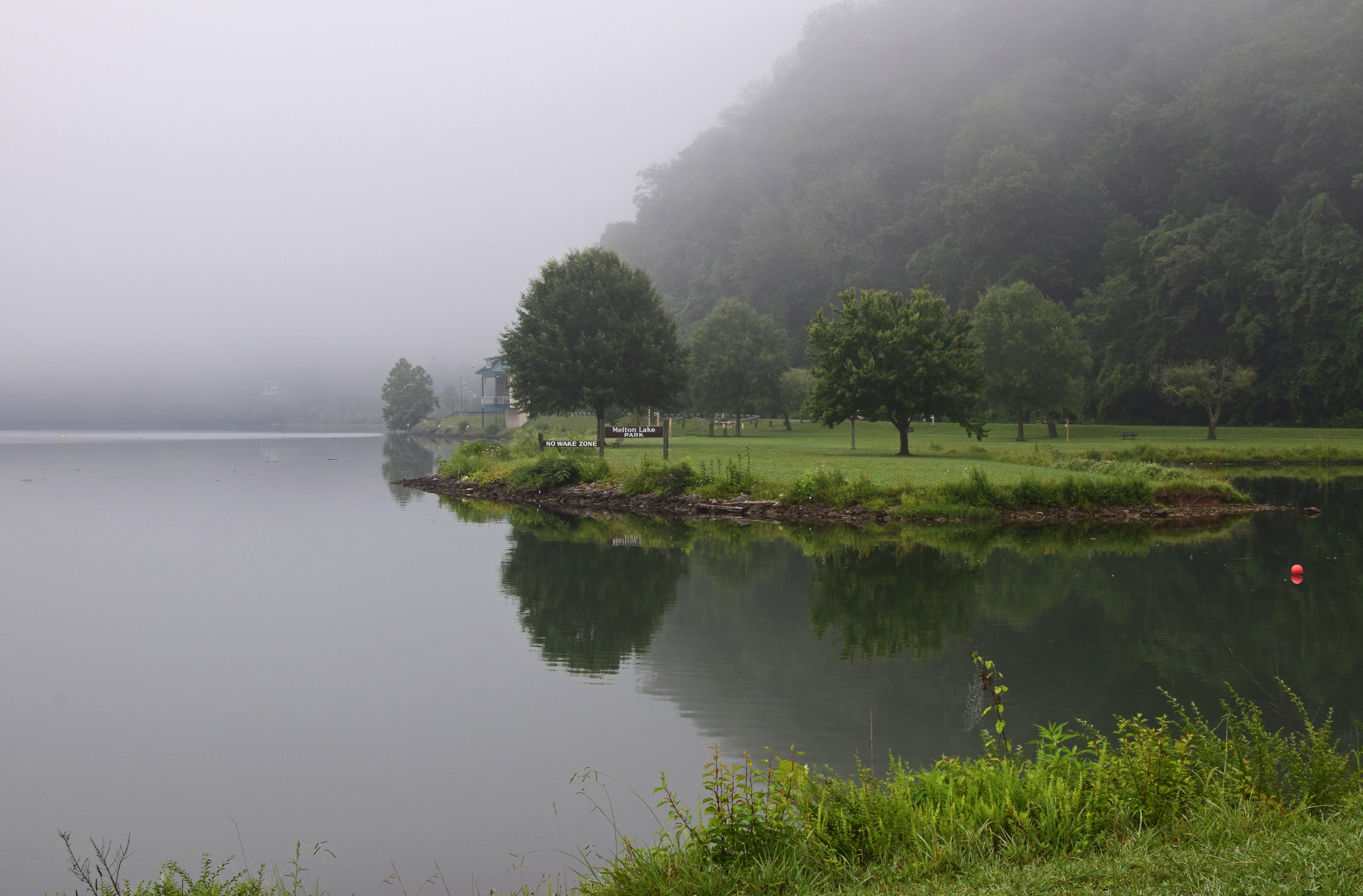 peaceful, Melton, green color, plant, growth, beauty in nature, In The Fog, no people, melton lake park, tranquil scene, fog, tranquility, colorful, grass, HD Wallpaper