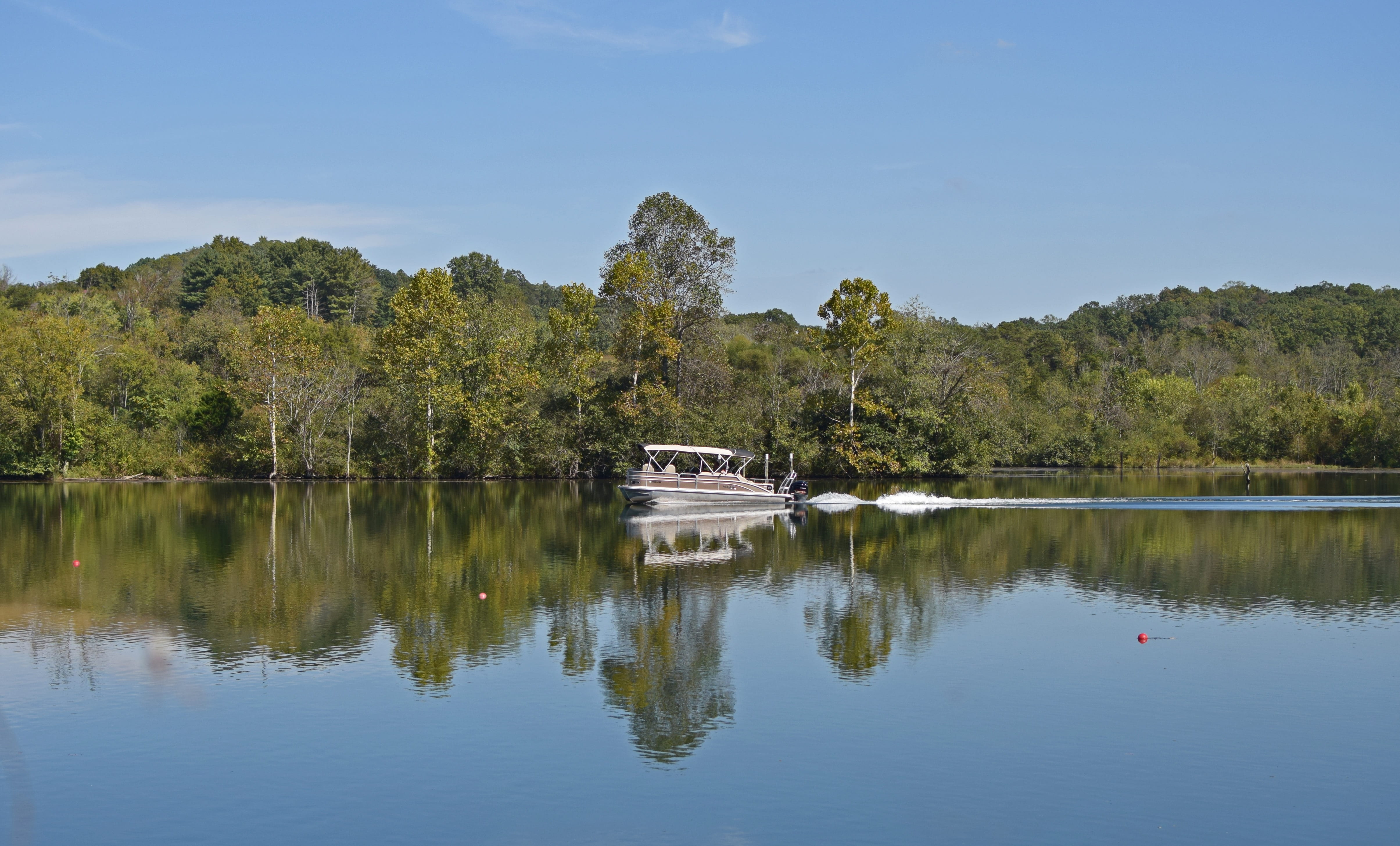 tranquility, clinch river, water, nature, scenics - nature, plant, motor-boating fisherman, beauty in nature, activity, fisherman, 4K, waterfront, sport, HD Wallpaper