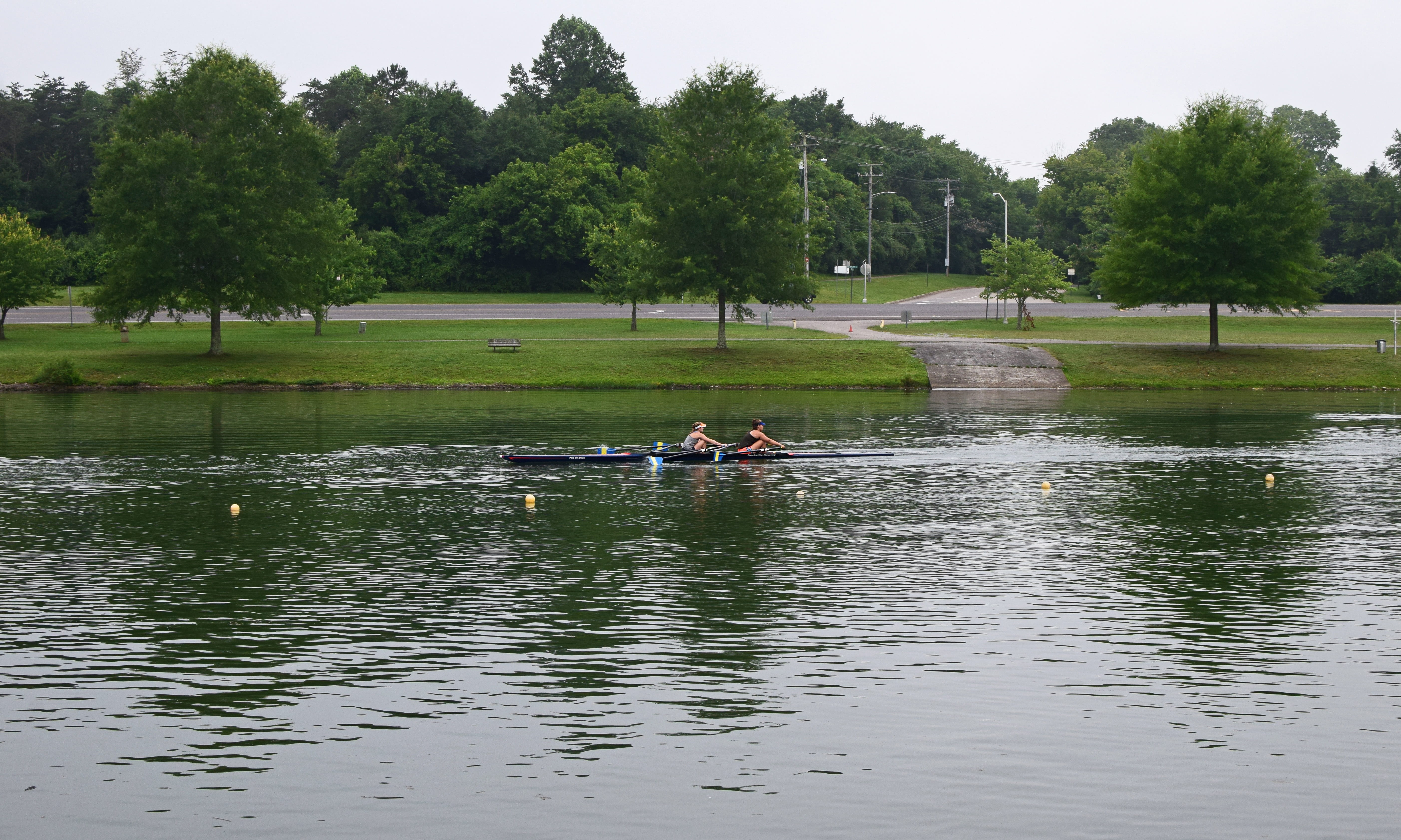 nature, activity, grass, men, waterfront, real people, green color, 5K, scull rowing, transportation, clinch river, people, leisure activity, melton lake, HD Wallpaper