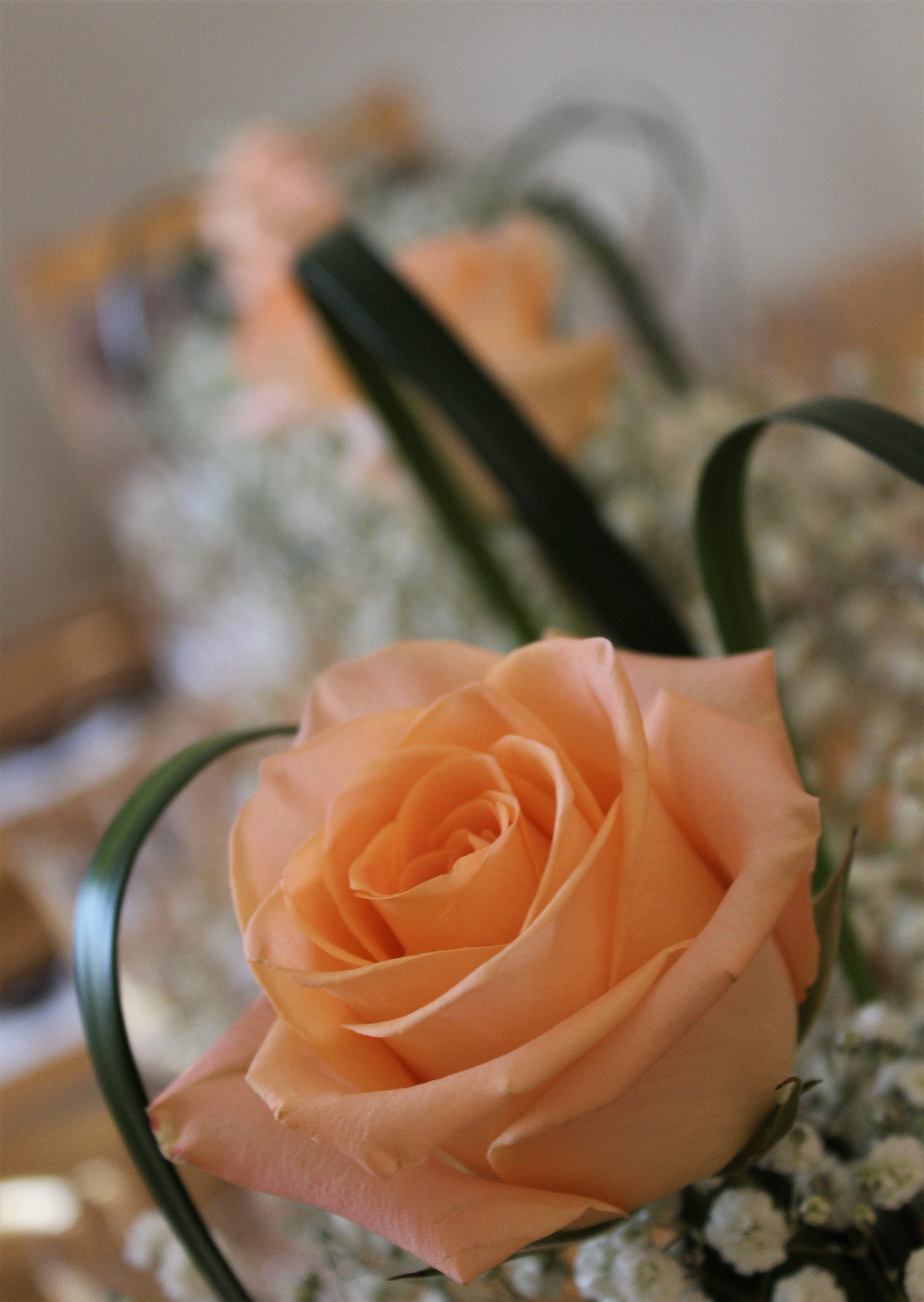 petal, focus on foreground, gift, matrimony, anniversary, nature, inflorescence, bouquet, indoors, decoration, occasion, flower head, table, romance, rose, Phone HD Wallpaper