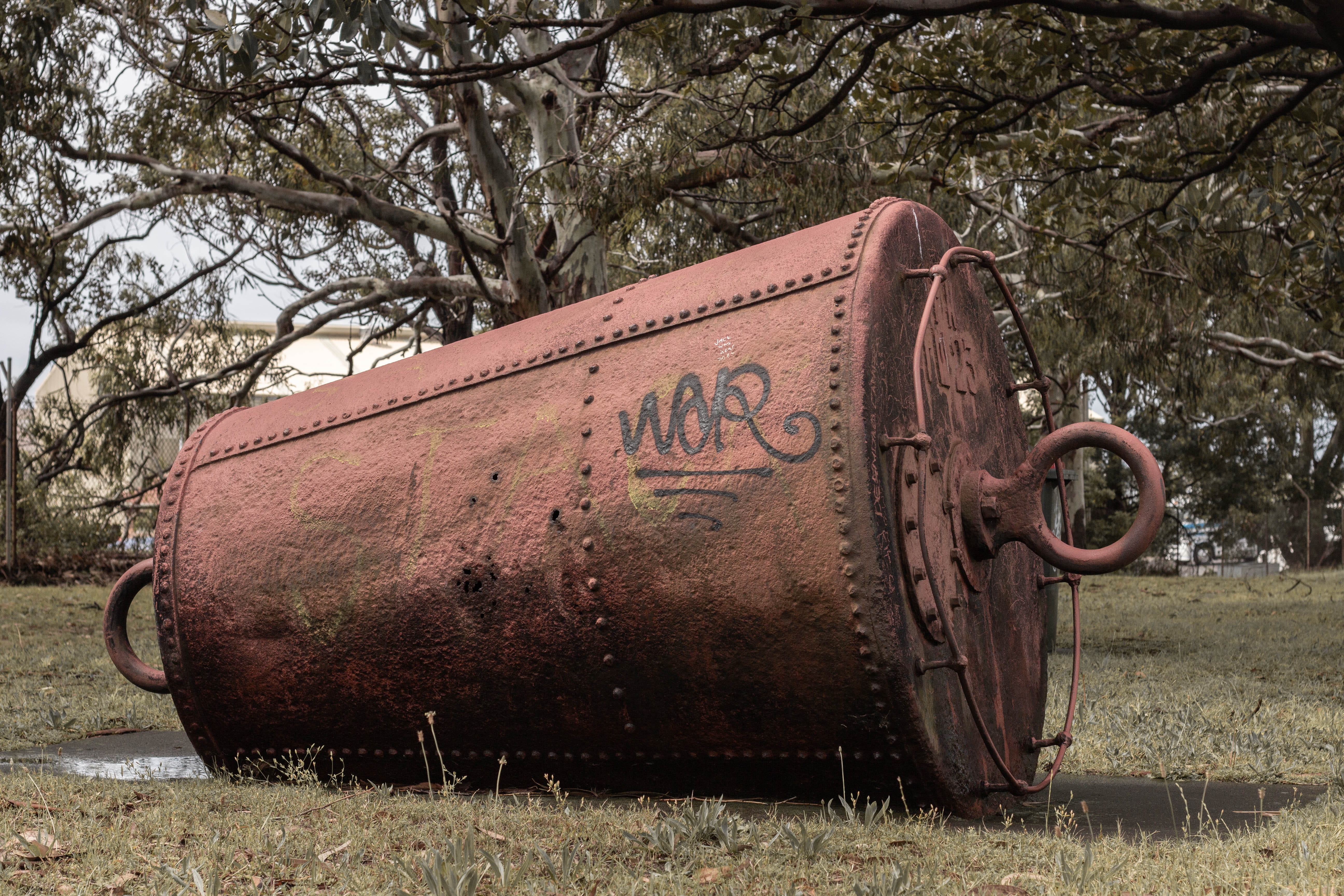 field, rust, australia, land, outdoors, wildlife, nature, shipping container, deterioration, tin, 5K, bongo, wollongong, plant, day, building, rusty, grass, HD Wallpaper
