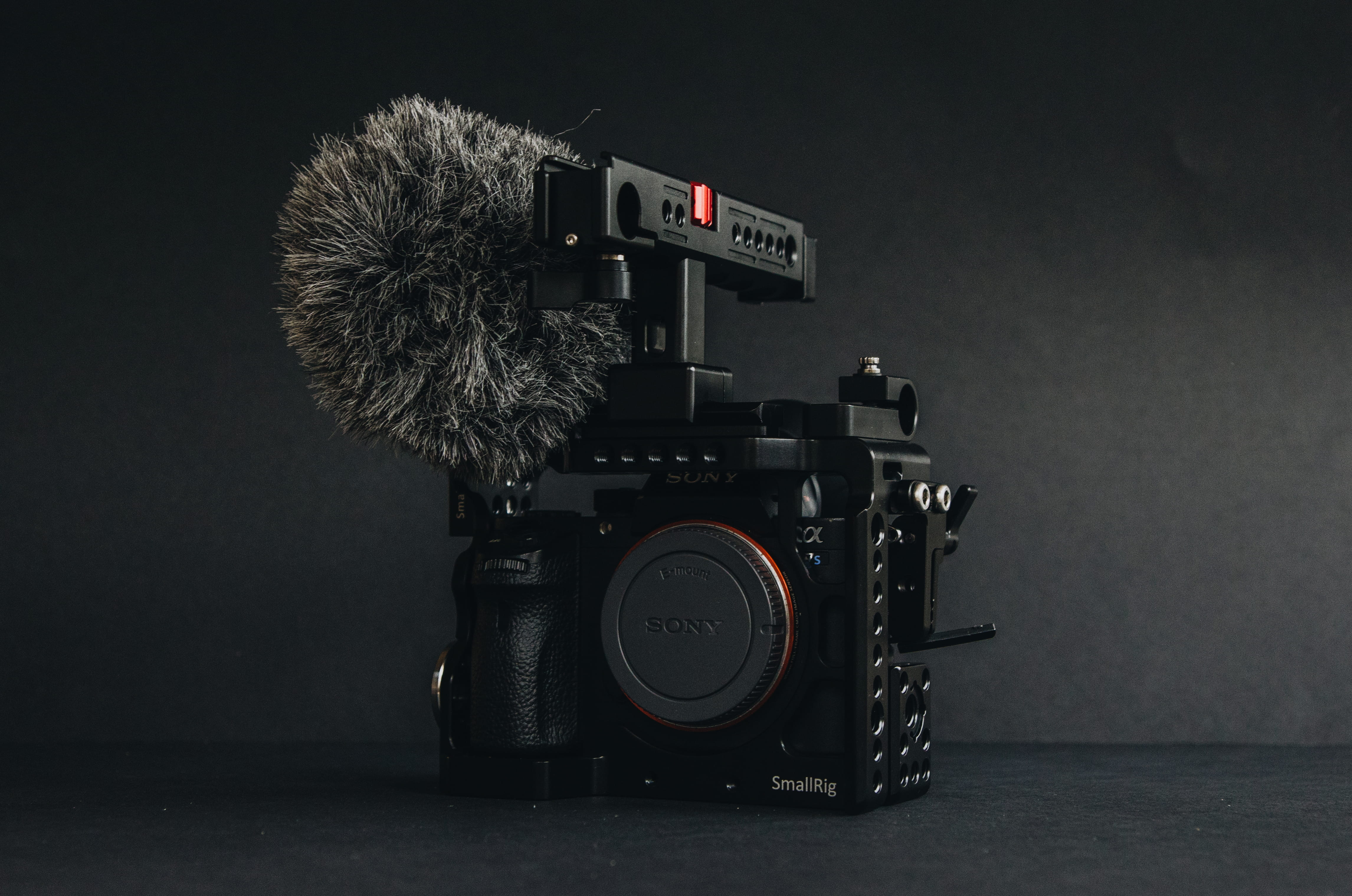 communication, tripod, gray, shelf, camera - photographic equipment, still life, digital camera, 4K, equipment, hall, photography themes, bird, wall, animal, HD Wallpaper