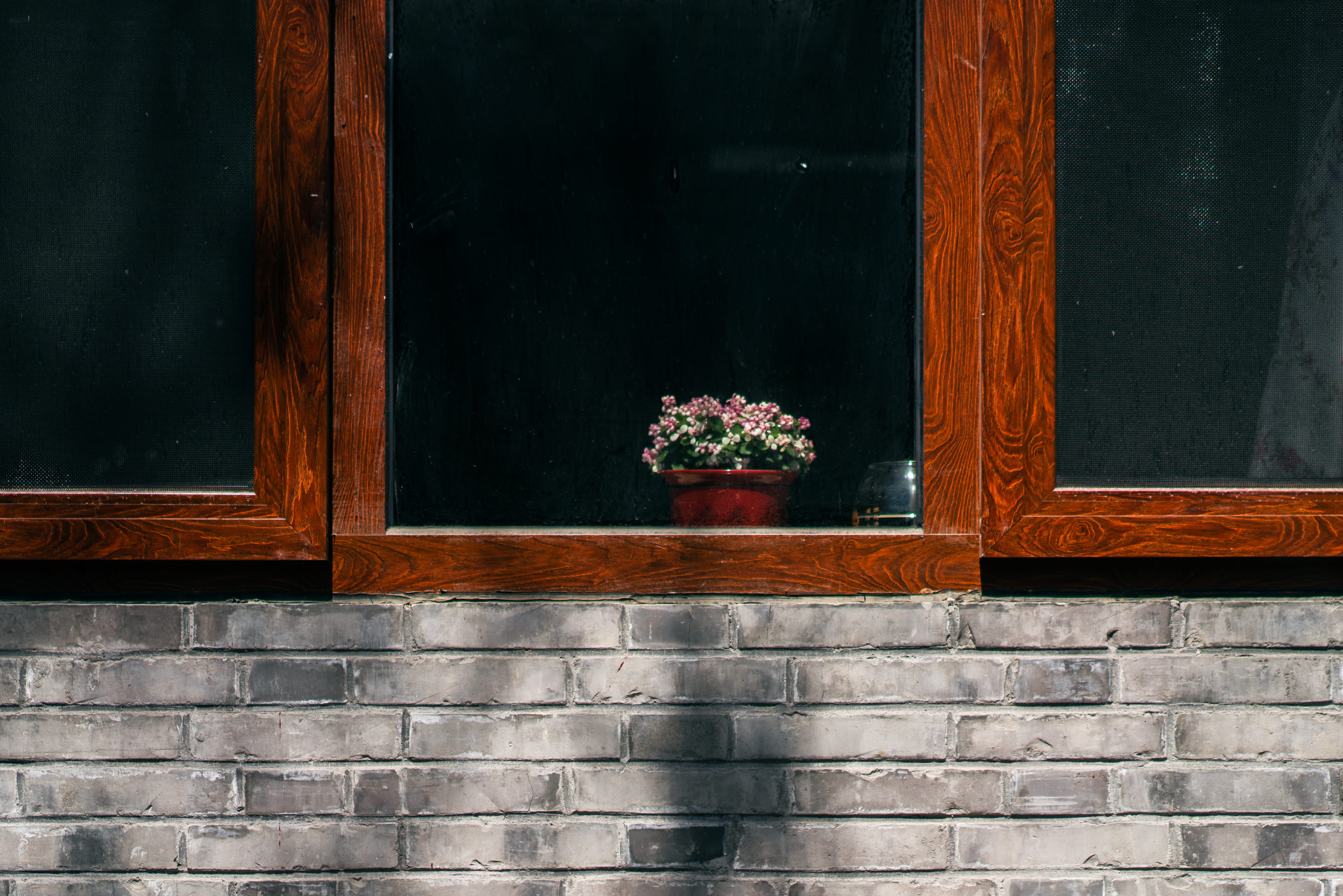 day, potted plant, built structure, glass, building, flower bouquet, architecture, building exterior, 4K, wood - material, walkway, outdoors, geranium, HD Wallpaper
