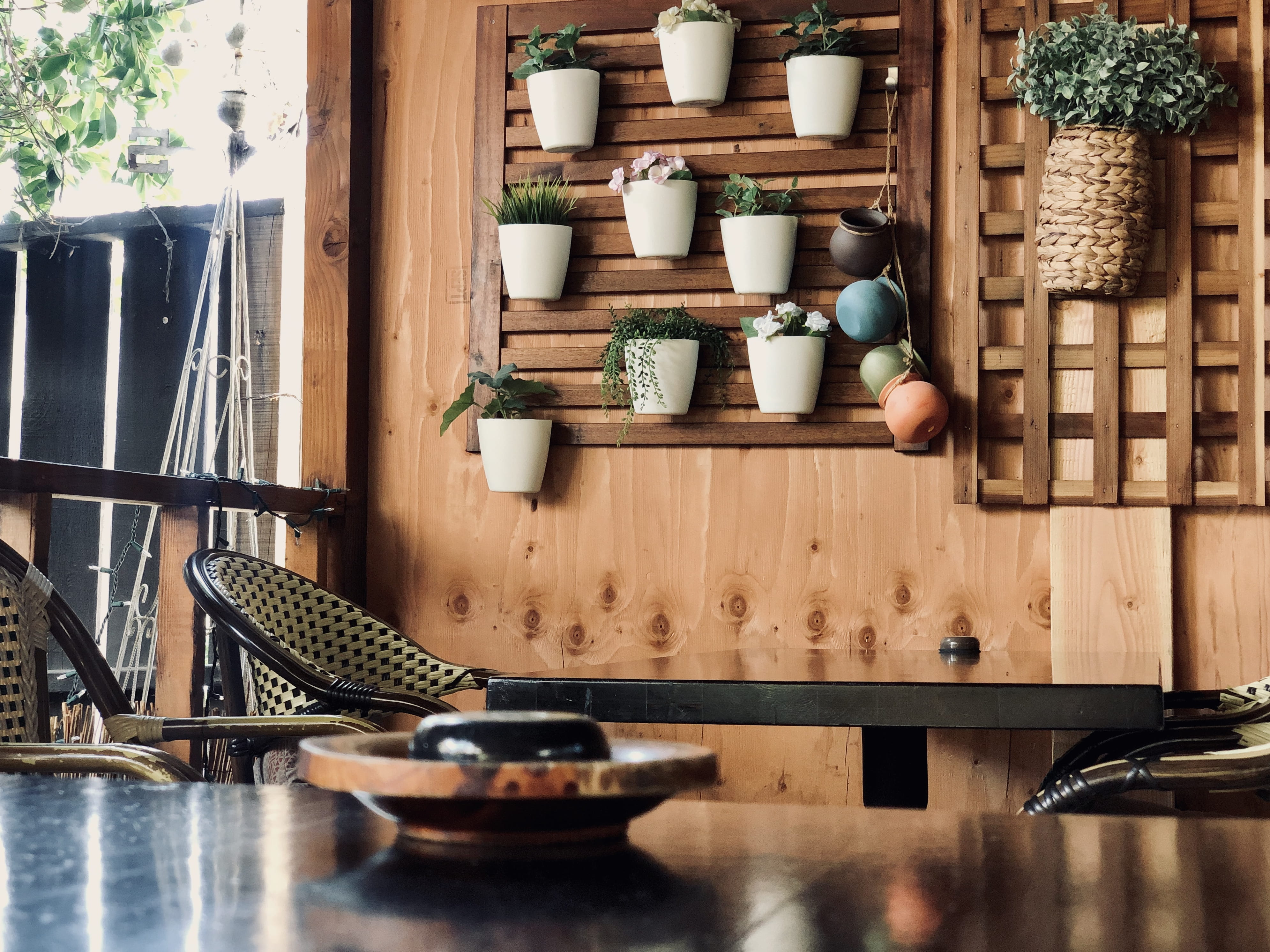 plant, large group of objects, variation, candle, no people, plants, potted plant, cafe, los angeles, pot, choice, shelf, wood - material, interior design, HD Wallpaper