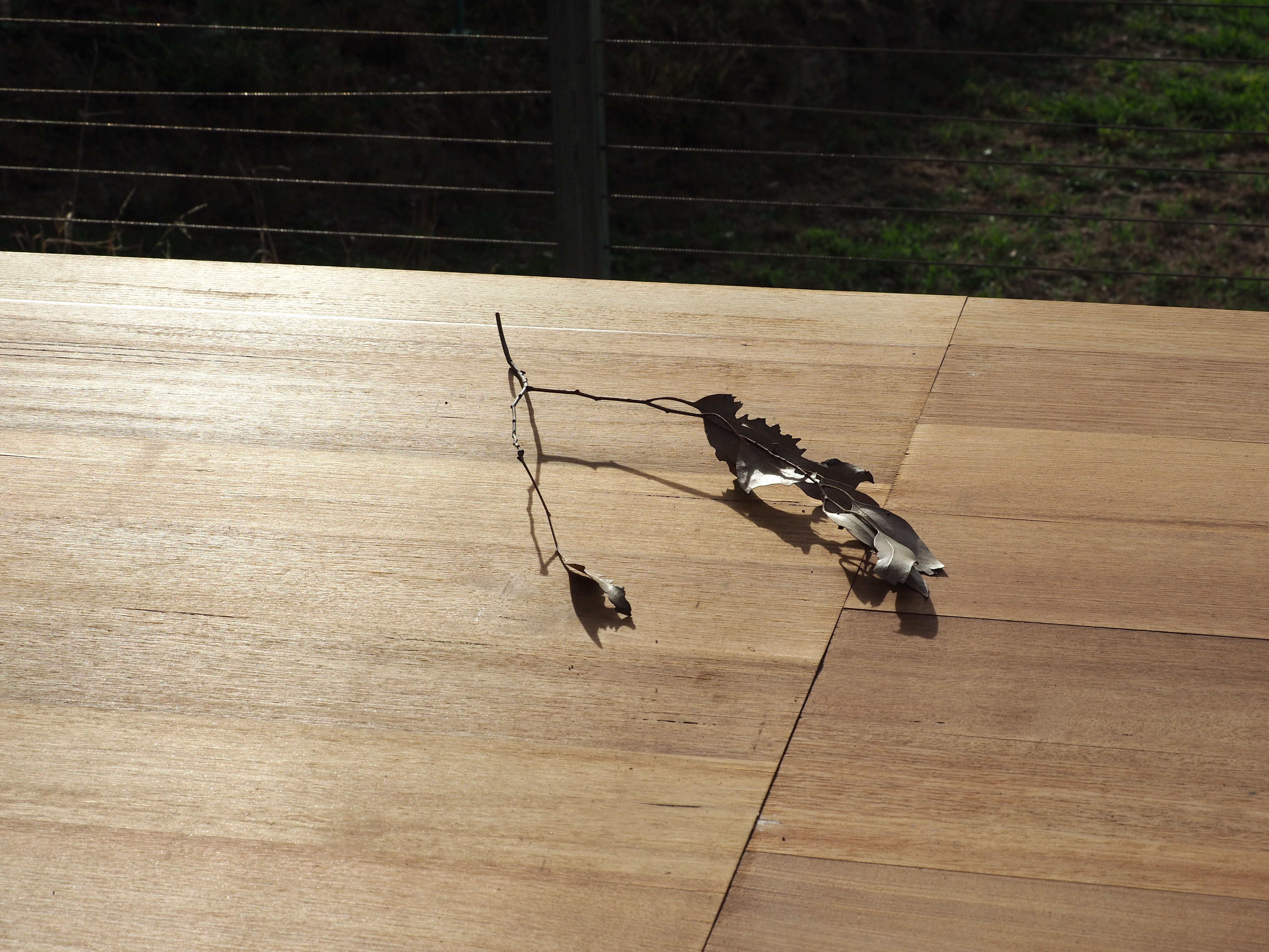 vertebrate, hardwood, bridge, day, wood - material, tabletop, no people, boardwalk, nature, perching, arrow, lumber, leisure activities, fence, sunlight, HD Wallpaper