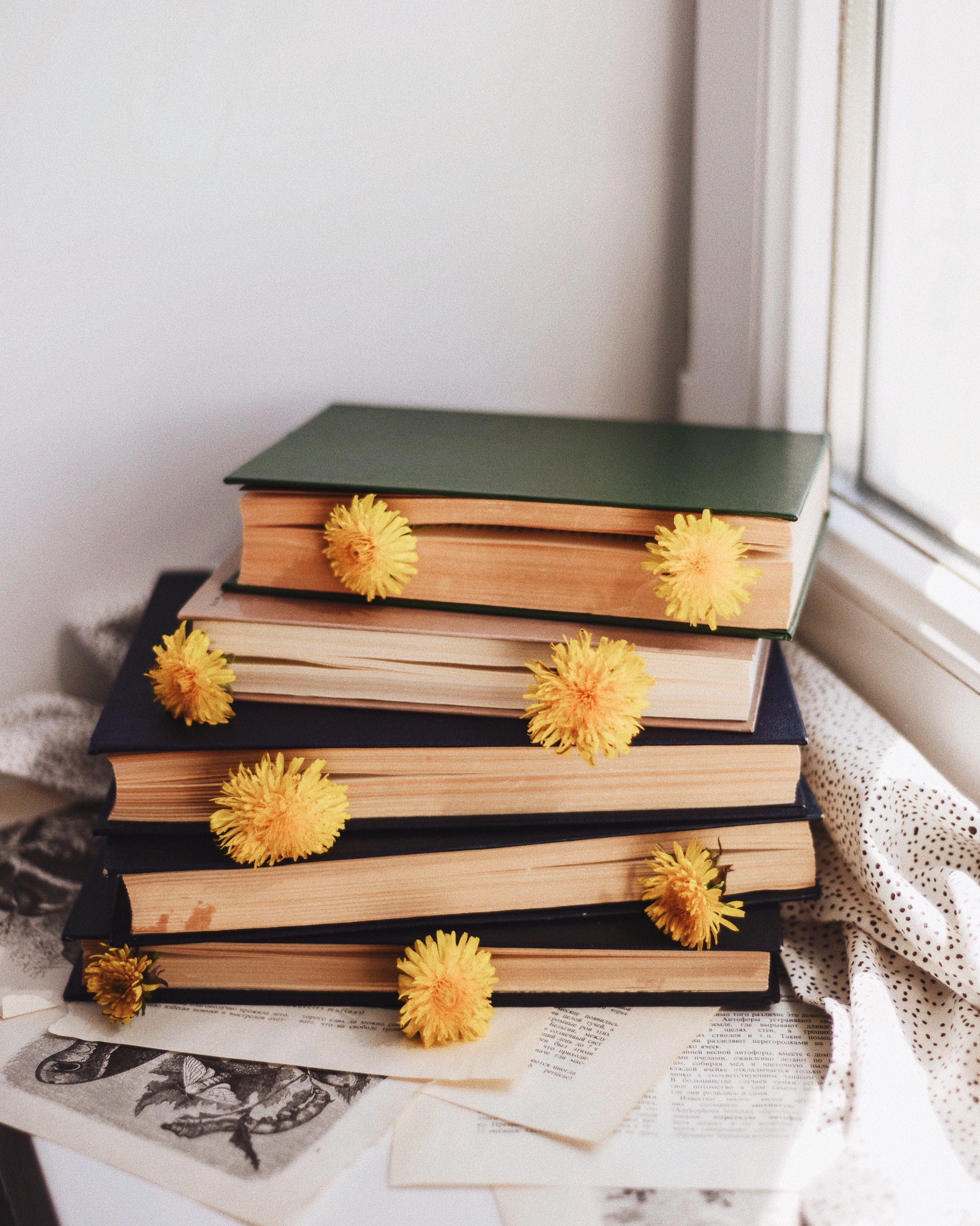 rug, yellow, box, home interior, stained wood, leaf, hardwood, indoors, pottery, publication, jar, wood, planter, high angle view, arrangement, flower head, Phone HD Wallpaper