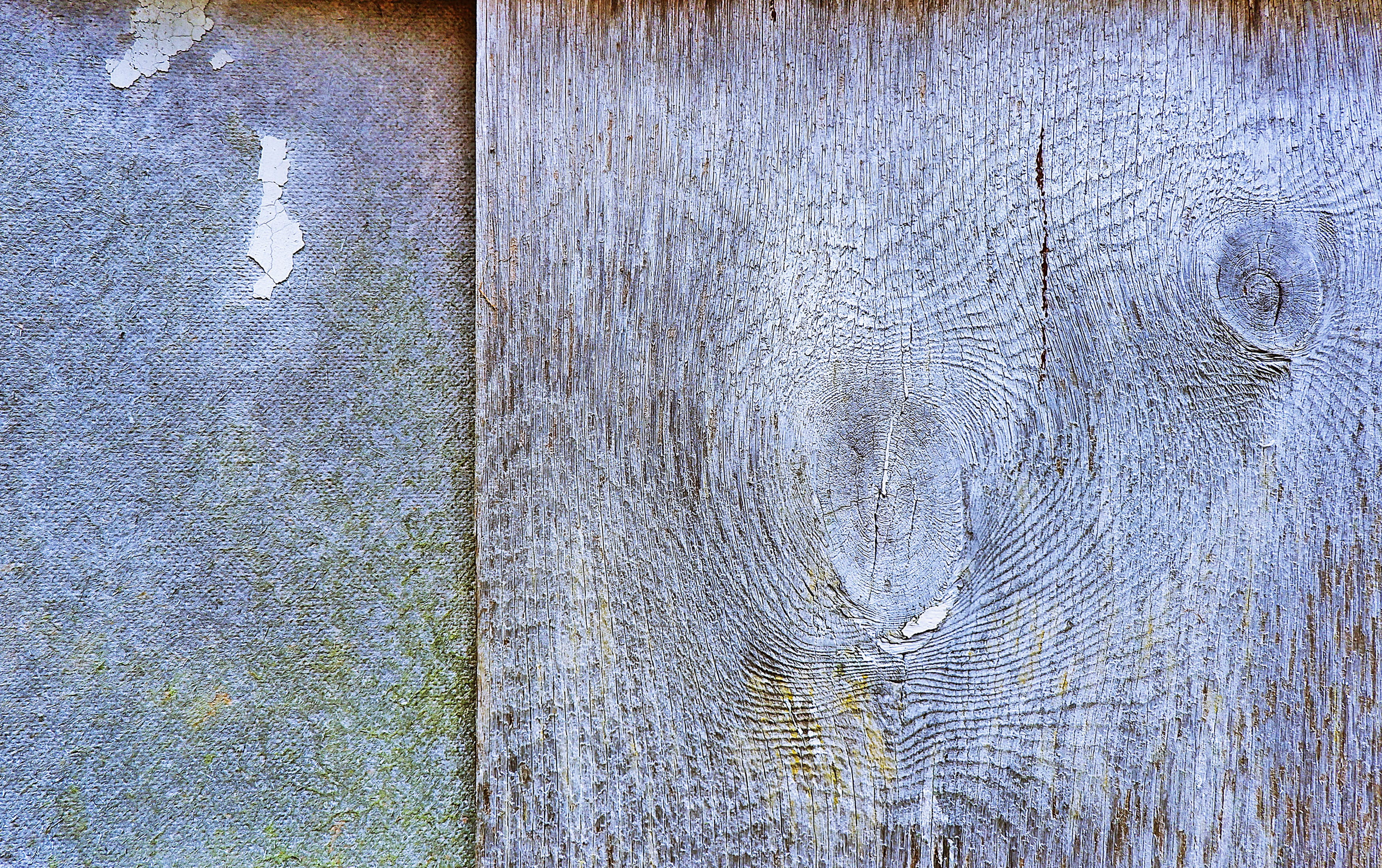 tree trunk, shape, backgrounds, weathered, old, natural pattern, furniture, rug, close-up, plant, wood - material, pattern, stained wood, 2K, canvas, silver, HD Wallpaper