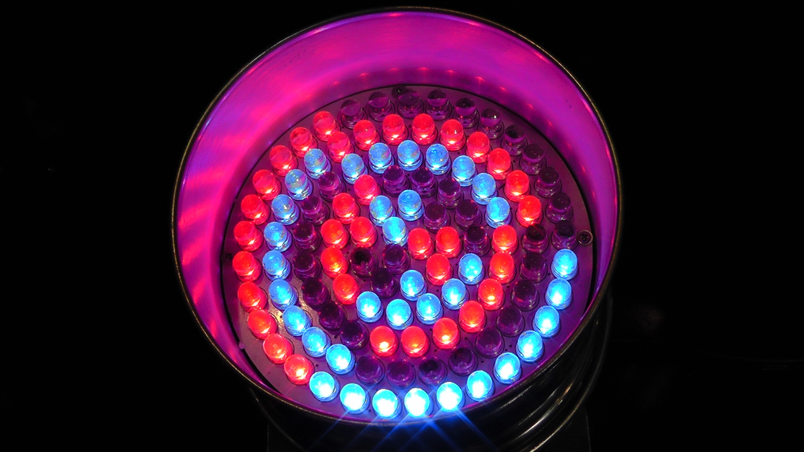 pink color, purple, color, light emitting diodes, indoors, lighting equipment, colorful, pattern, shape, black background, light - natural phenomenon, led, HD Wallpaper