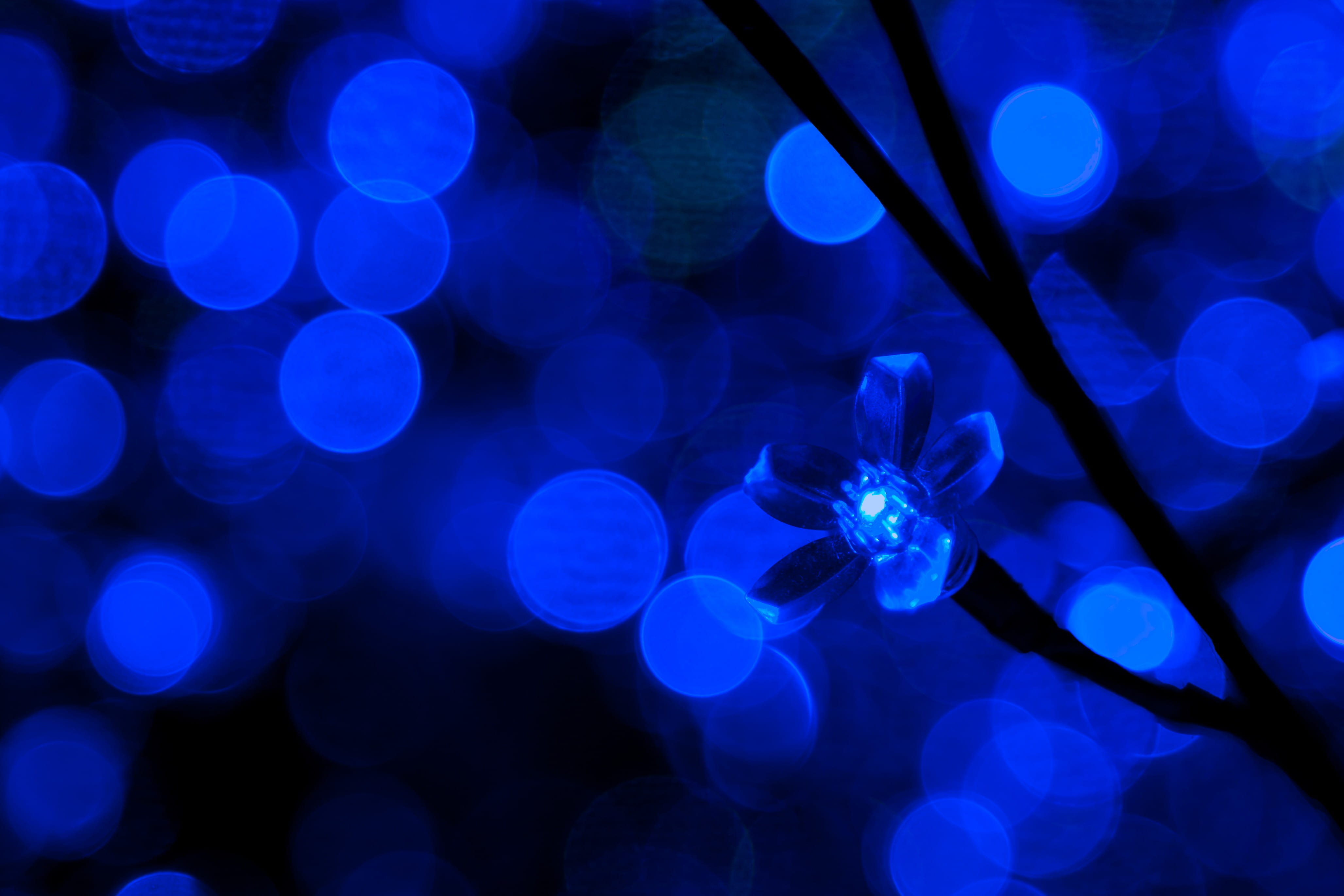 abstract, glow, purple, photography, shiny, beauty in nature, defocused, illuminated, plant, flower, nightlife, glowing, christmas, diode, ornament, led, HD Wallpaper