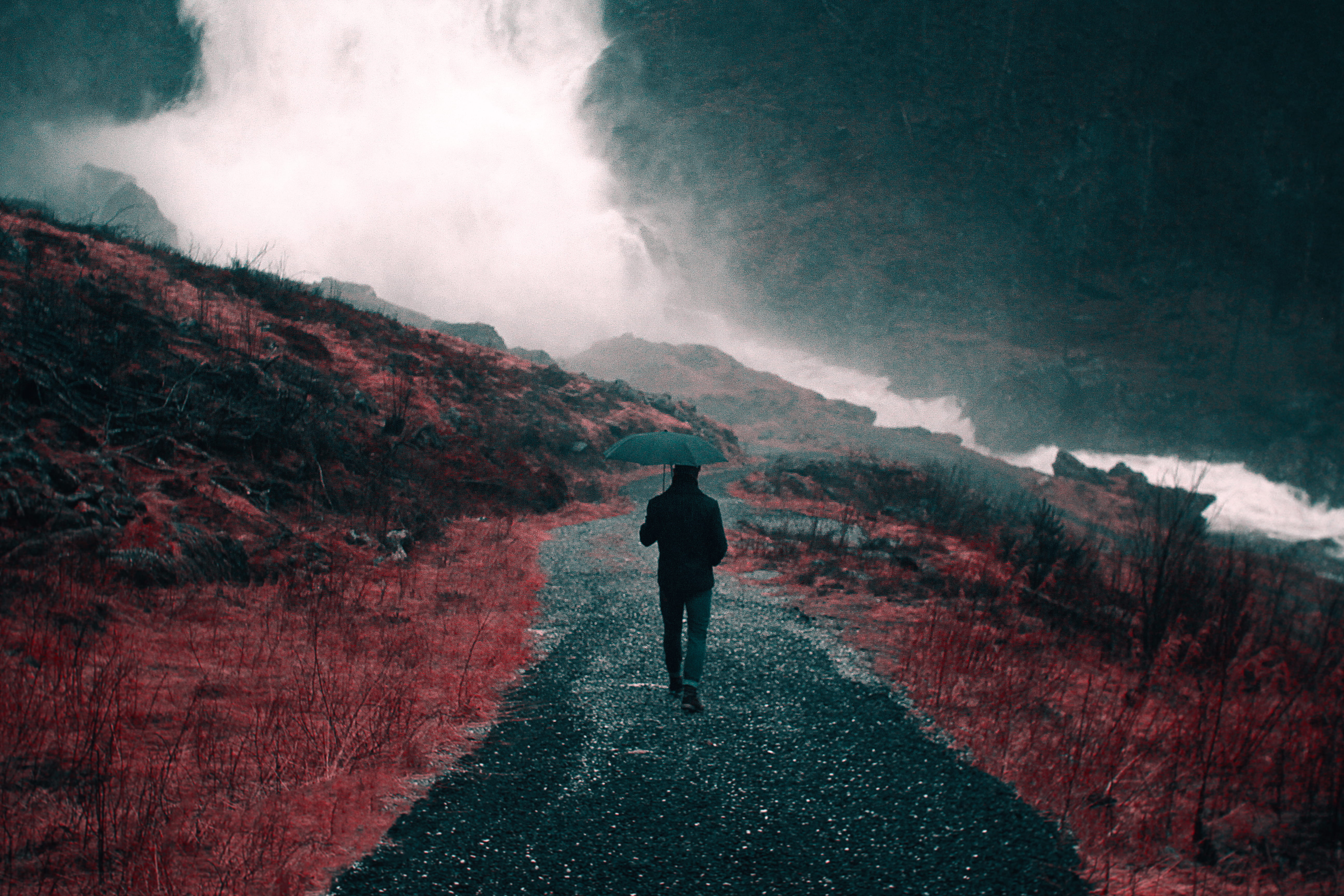 trail, red, nick scheerbart, man, adult, full length, men, nature, grass, rock, river, outdoors, time, cloud, scenics - nature, rain, cold, motion, waling, HD Wallpaper
