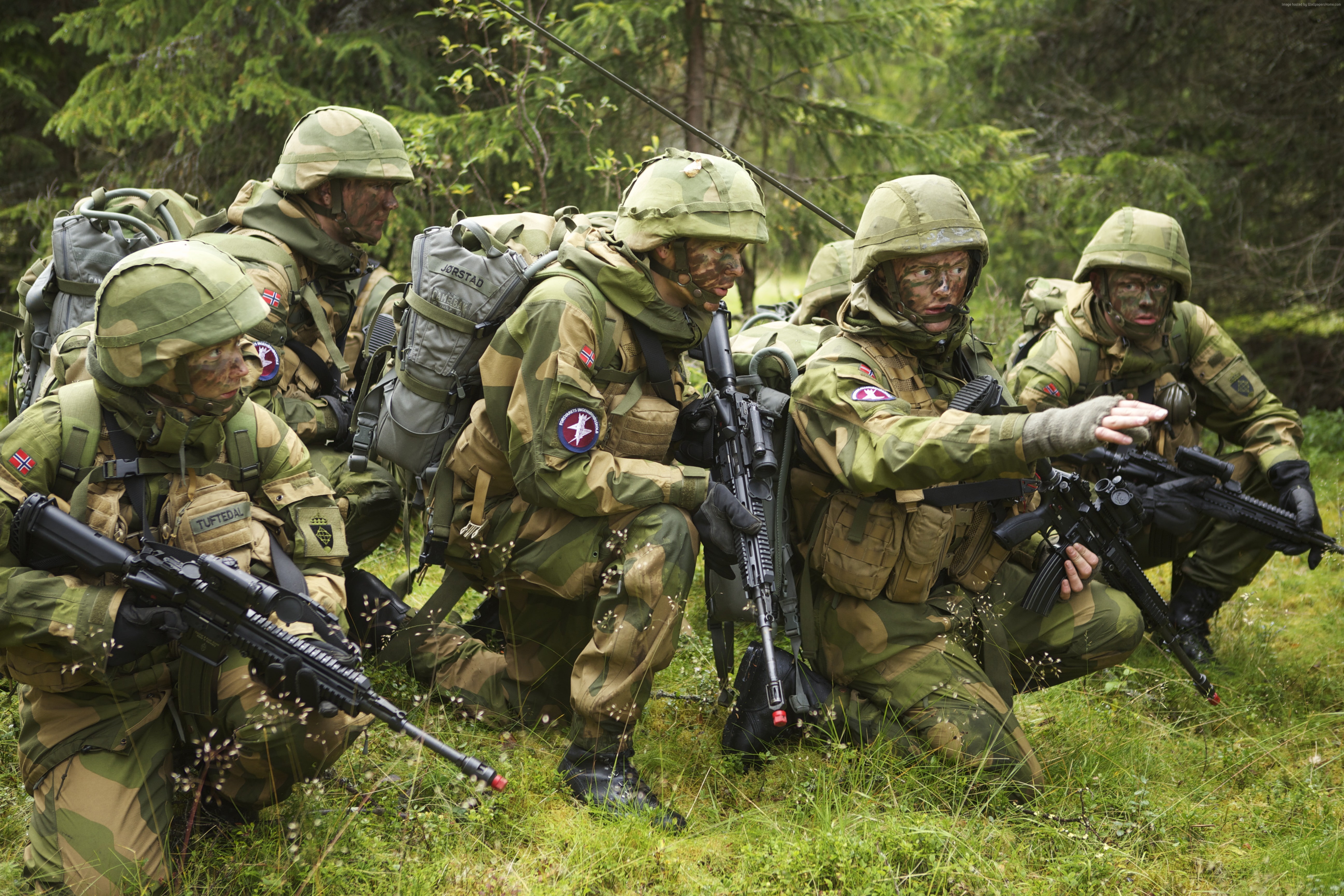 Norwegian Armed Forces, rifle, 5K, Norwegian Army, soldier, camo, mission, forest, HD Wallpaper