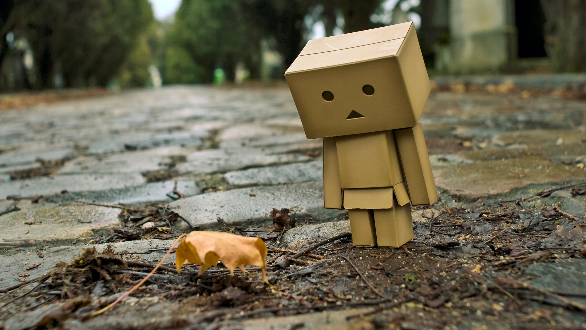 outdoors, box, protective covering, art and craft, shelter, figurine, mailbox, sunlight, cardboard, close-up, 1080P, focus on foreground, tree, robot, HD Wallpaper