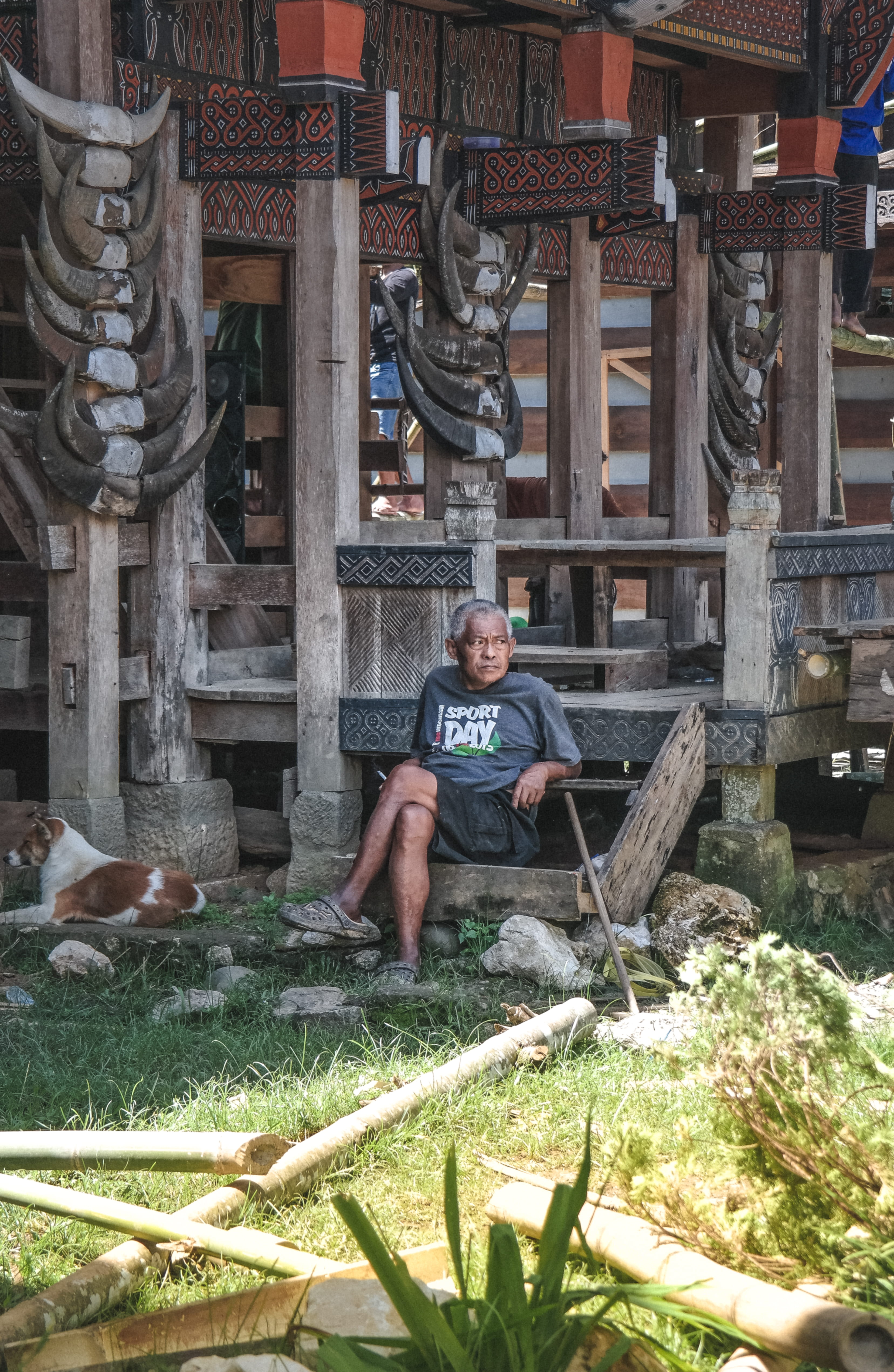 place of worship, 4K, sitting, animal, rest, front view, built structure, day, relax, footwear, building, casual clothing, human, dog, toraja, traditional, Phone HD Wallpaper