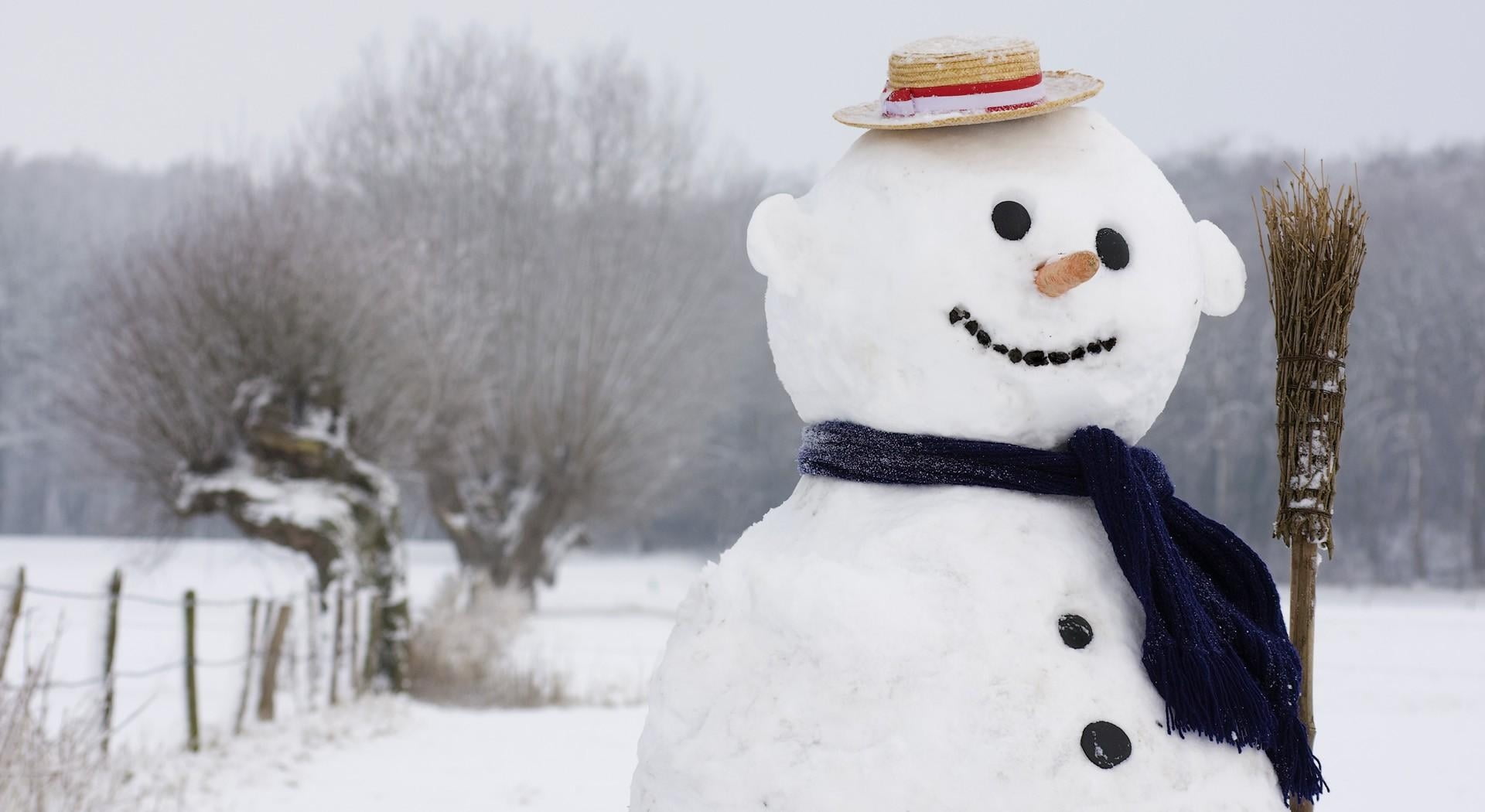 snow, frozen, forest, non-Urban Scene, hat, carrot, snowman, cold - Temperature, color Image, white, weather, holiday, winter, clothing, extreme weather, HD Wallpaper
