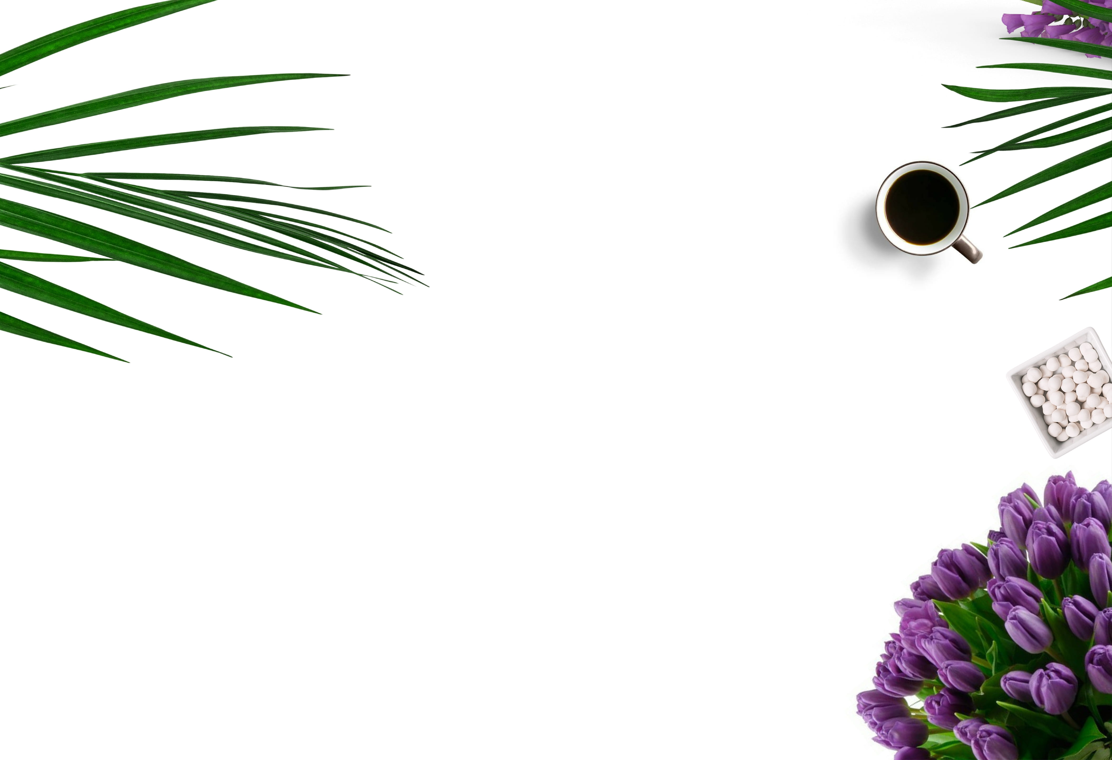 view, flower, plant, flowering plant, palm leaf, fragility, flower head, ceramic, mug, flatlay, tulips, no people, 4K, vulnerability, photography, palm tree, HD Wallpaper