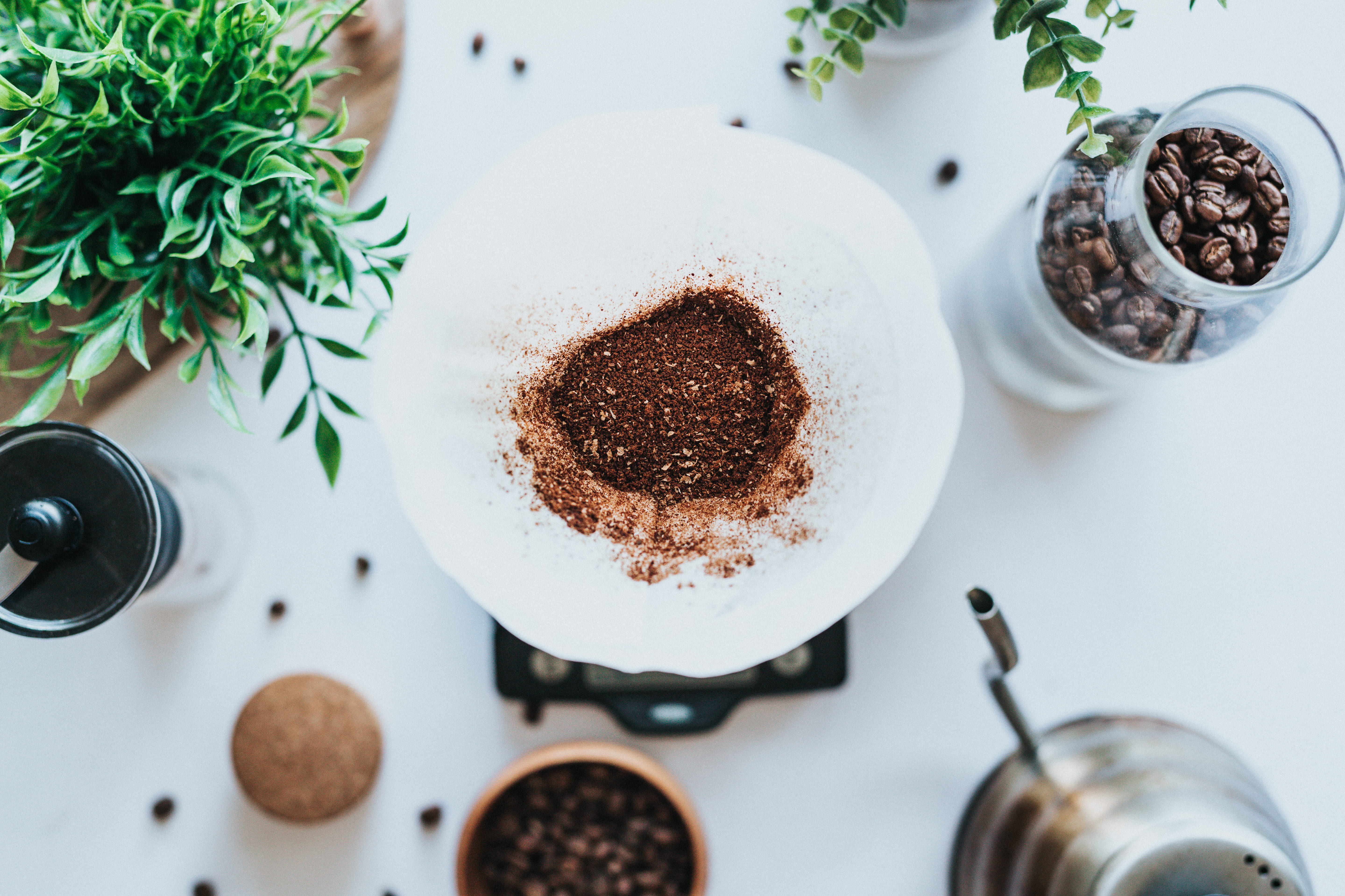 food, ground coffee, photo, coffee beans, still life, 5K, jar, coffee, potted plant, directly above, coffee - drink, table, white, coffee cup, mug, grounds, HD Wallpaper