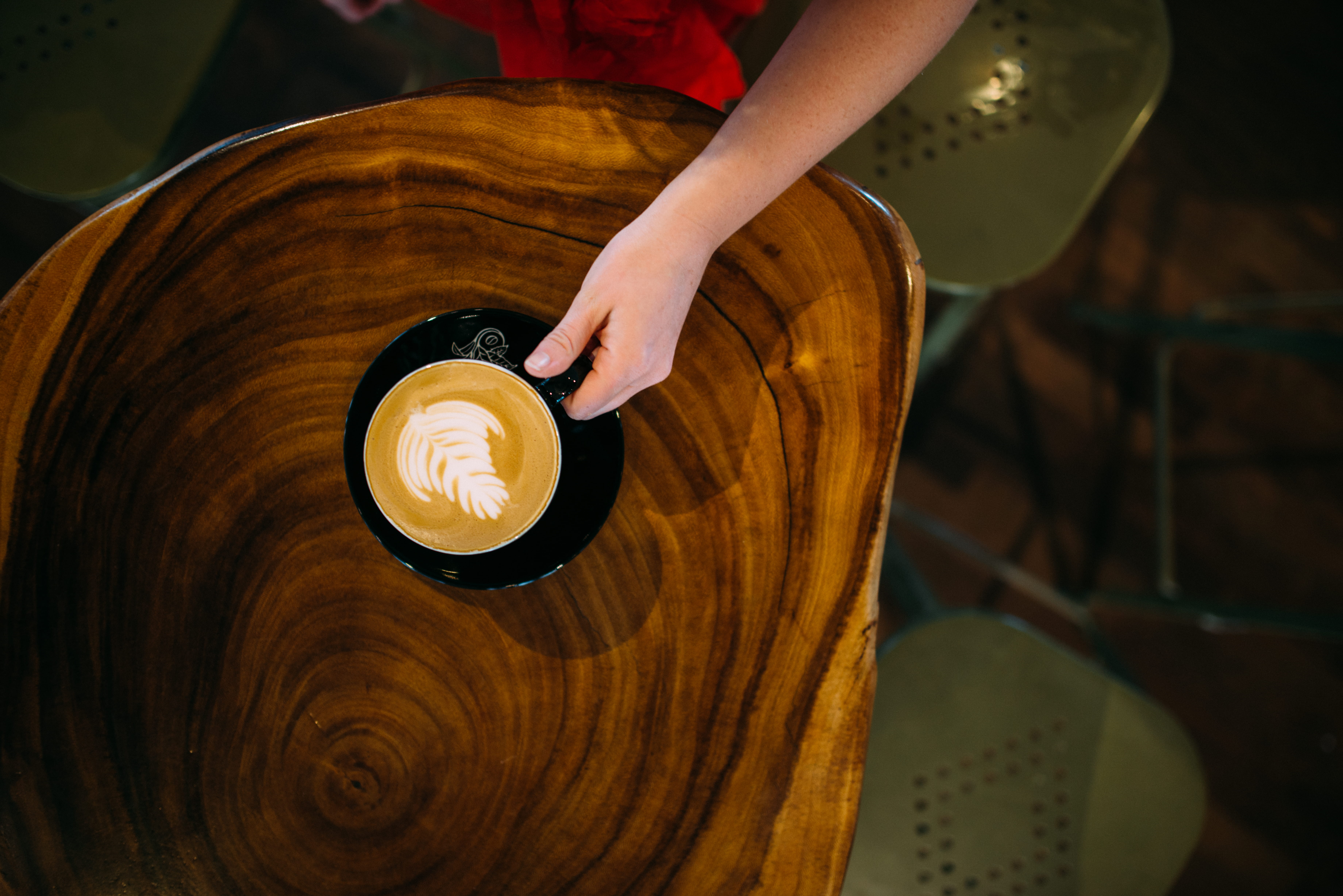 table, real people, frothy drink, topdown, slab, adult, lifestyles, holding, indoors, one person, coffee cup, inside, 5K, wood, hand, human body part, HD Wallpaper