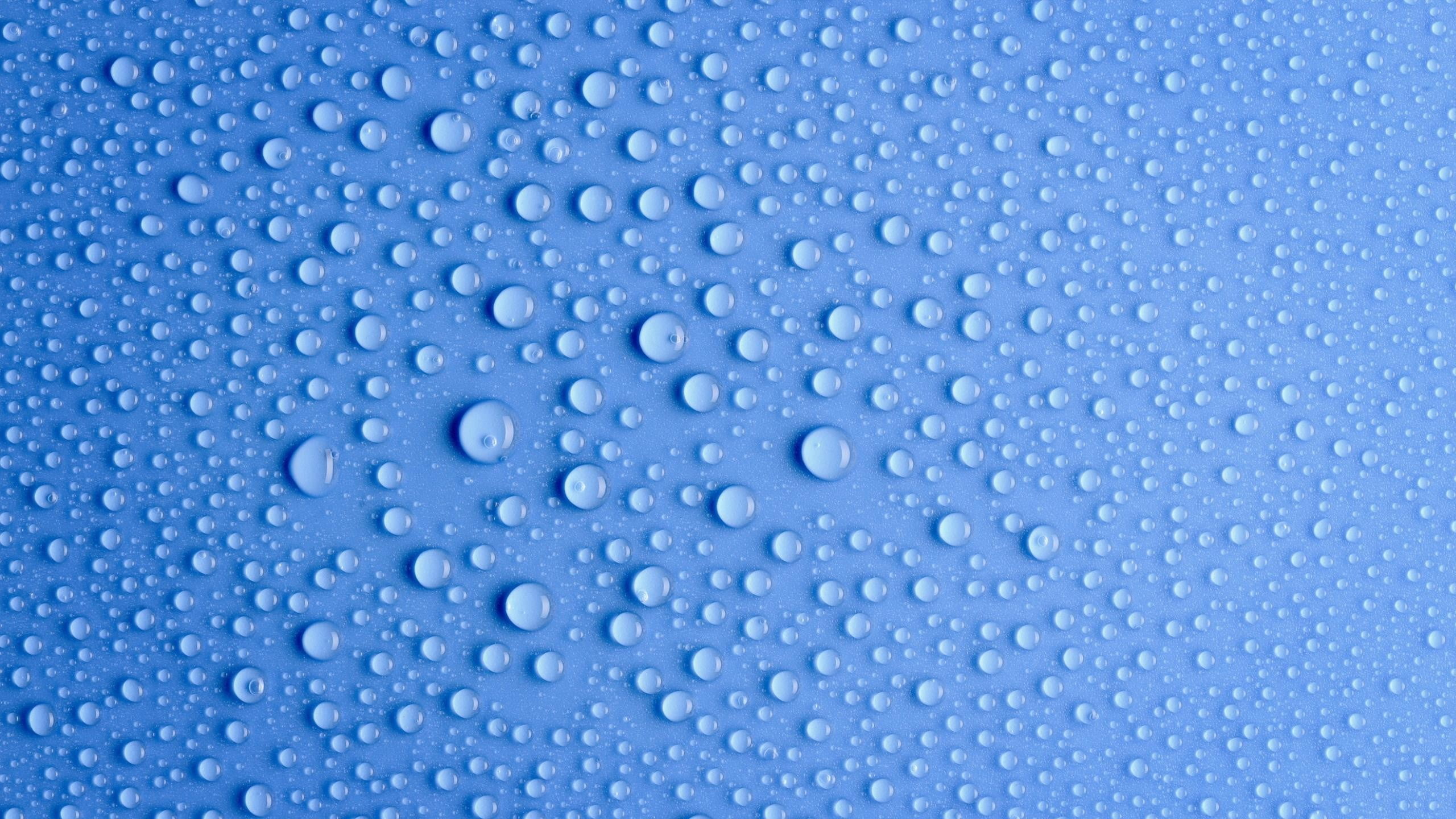wet, circle, bright, blue background, abstract backgrounds, no people, blue, studio shot, backgrounds, bubble, food and drink, pattern, abstract, transparent, HD Wallpaper
