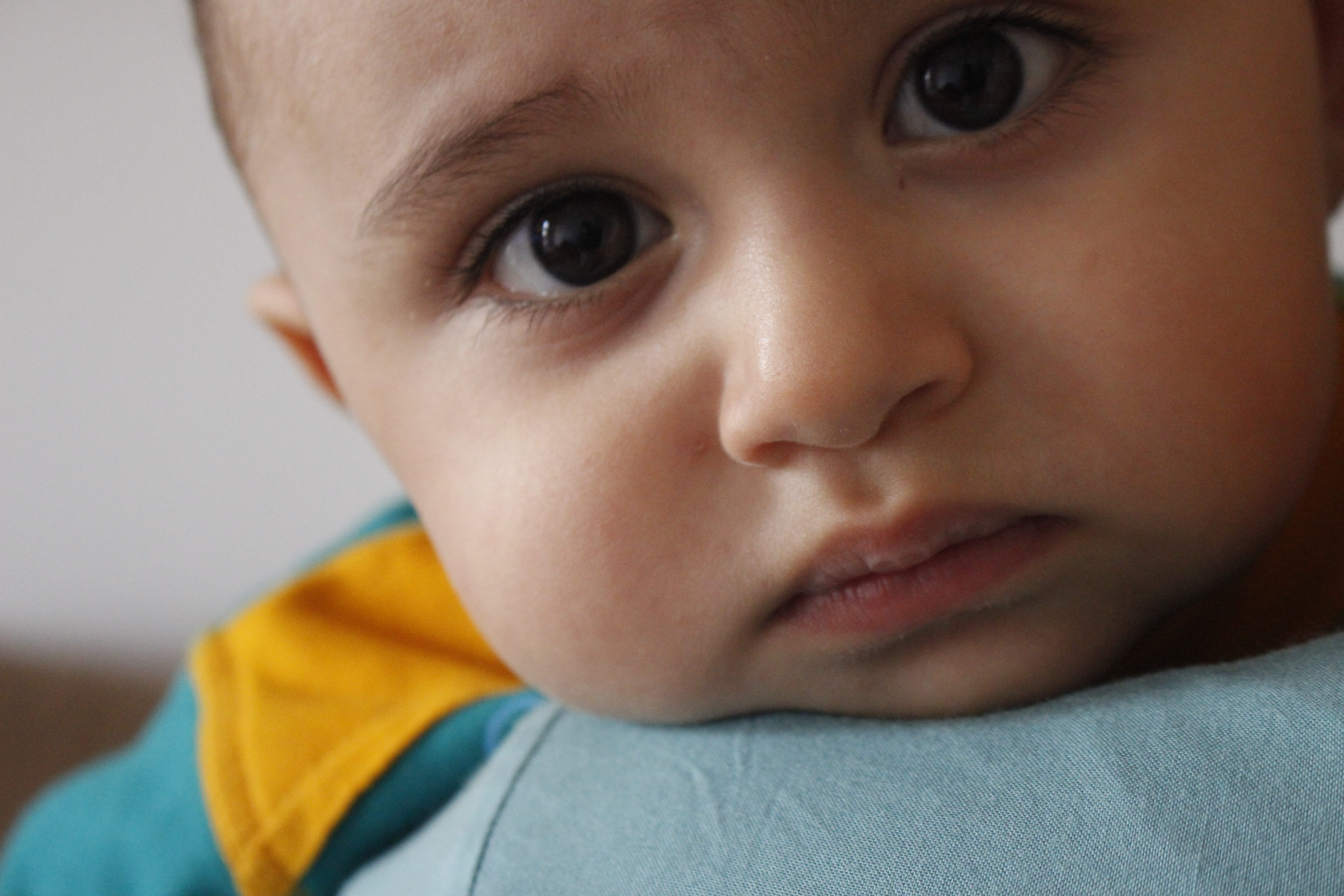 boy, looking at camera, mother, 5K, kish, iran, teardrop, headshot, portrait, males, childhood, close-up, son, kid, one person, child, human face, baby, HD Wallpaper