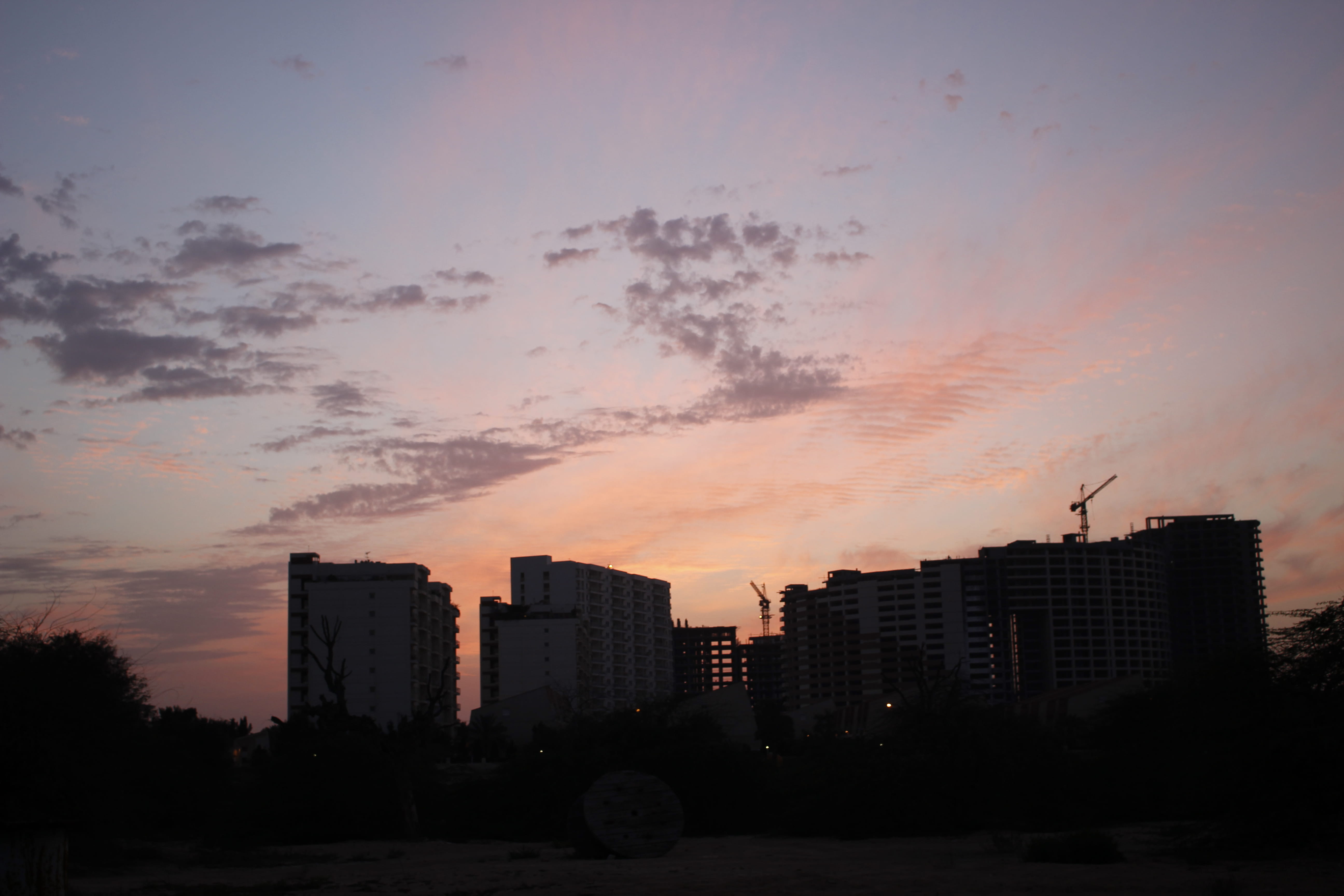 tall - high, architecture, red sky, plant, nature, orange color, apartment, outdoors, silhouette, cloud - sky, tree, no people, city, iran, skyscraper, HD Wallpaper