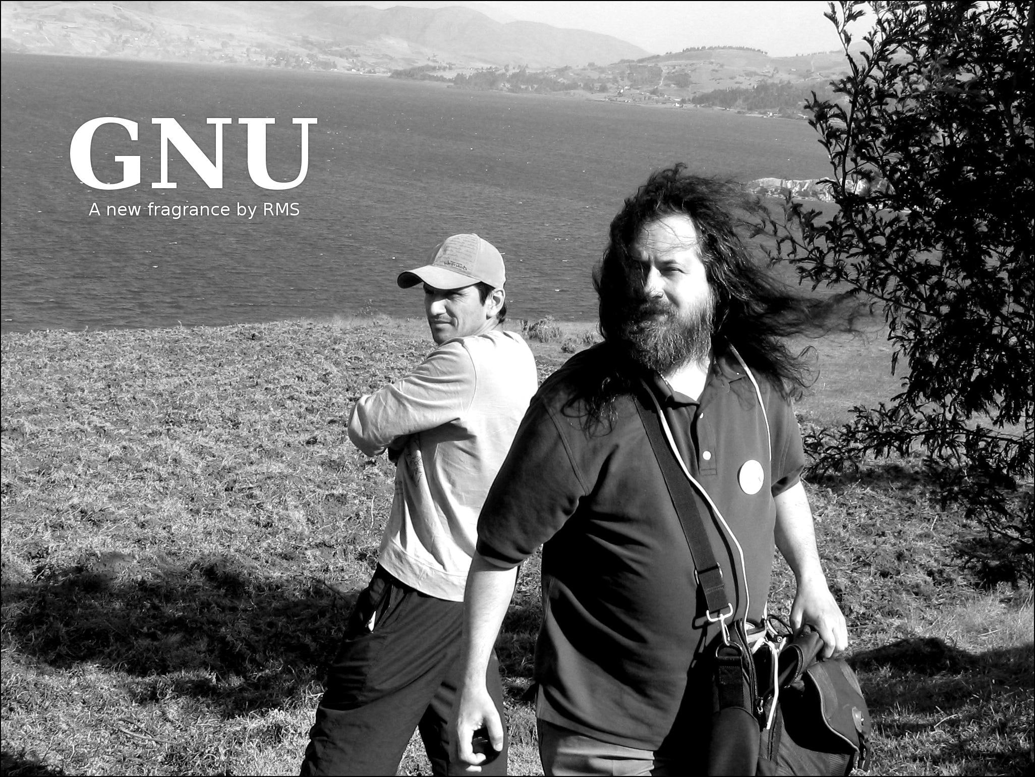linux, technology, gnu, 1080P, x, art, stallman, hd, HD Wallpaper