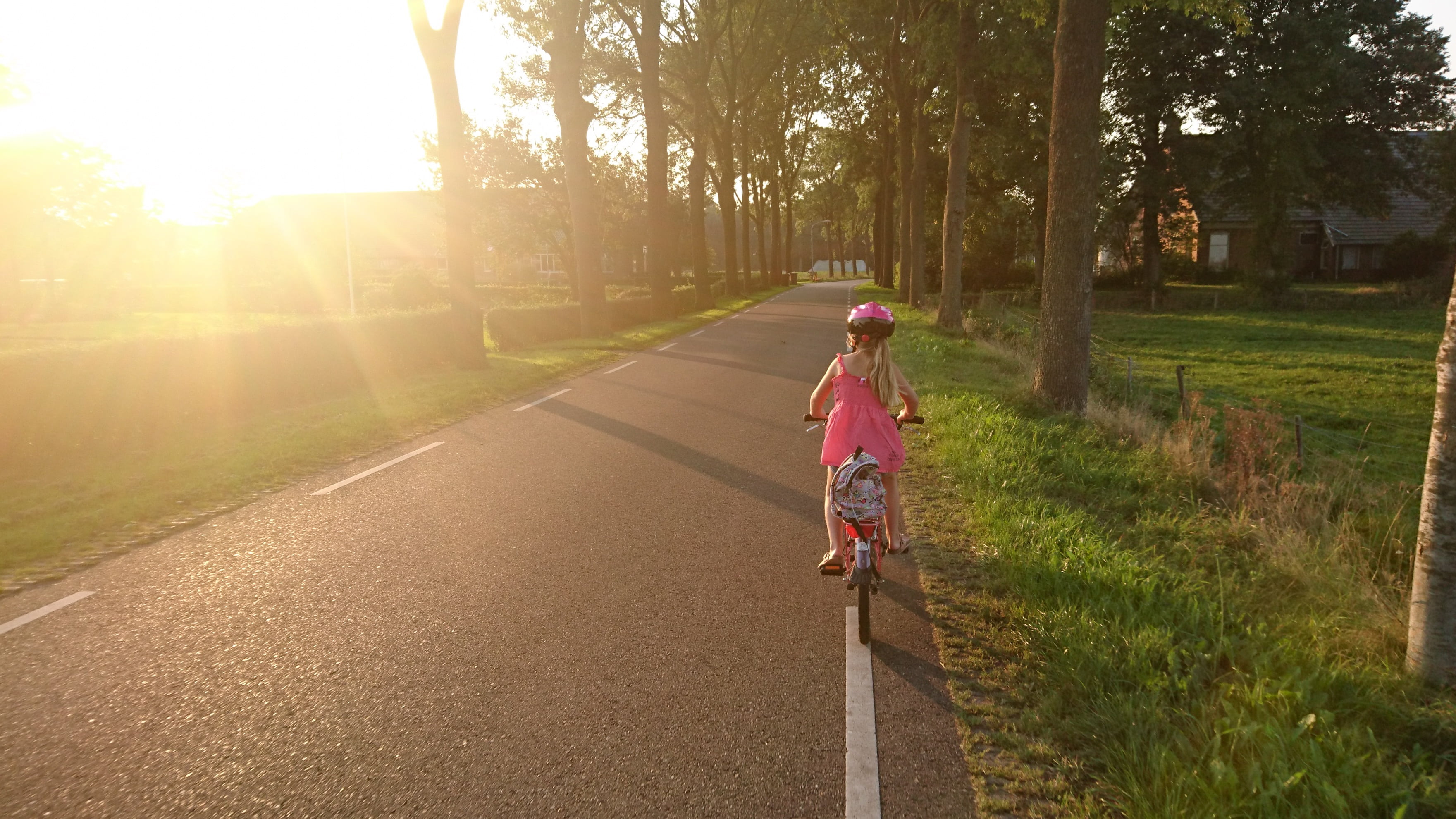 childhood, one person, school, riding, females, happy, female, summer, rear view, girls, girl, sport, full length, sunlight, family, plant, young, fun, HD Wallpaper