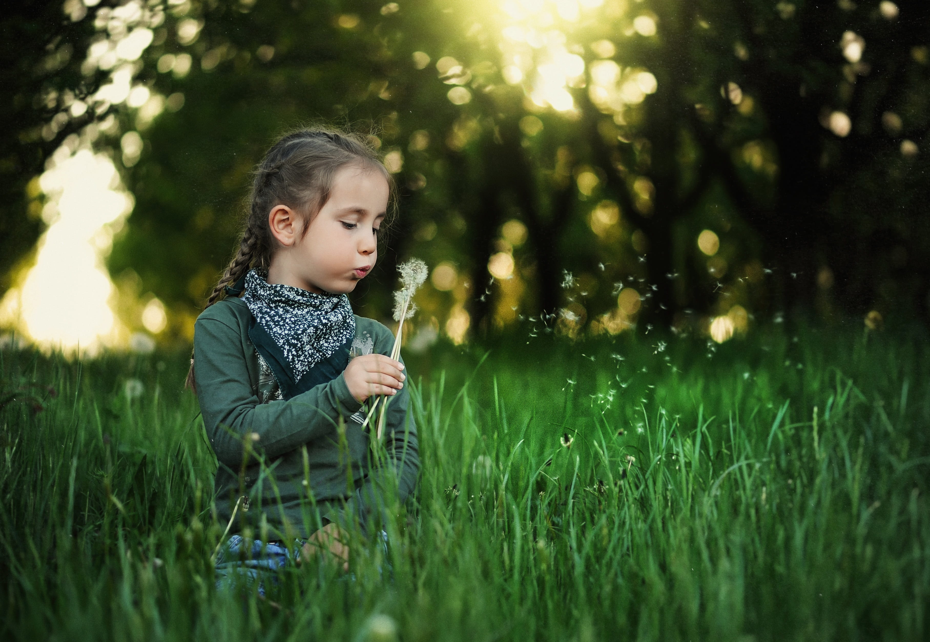 nature, children only, child, golden, person, green color, selective focus, real people, blowing, looking, children, cute, casual clothing, little, land, HD Wallpaper