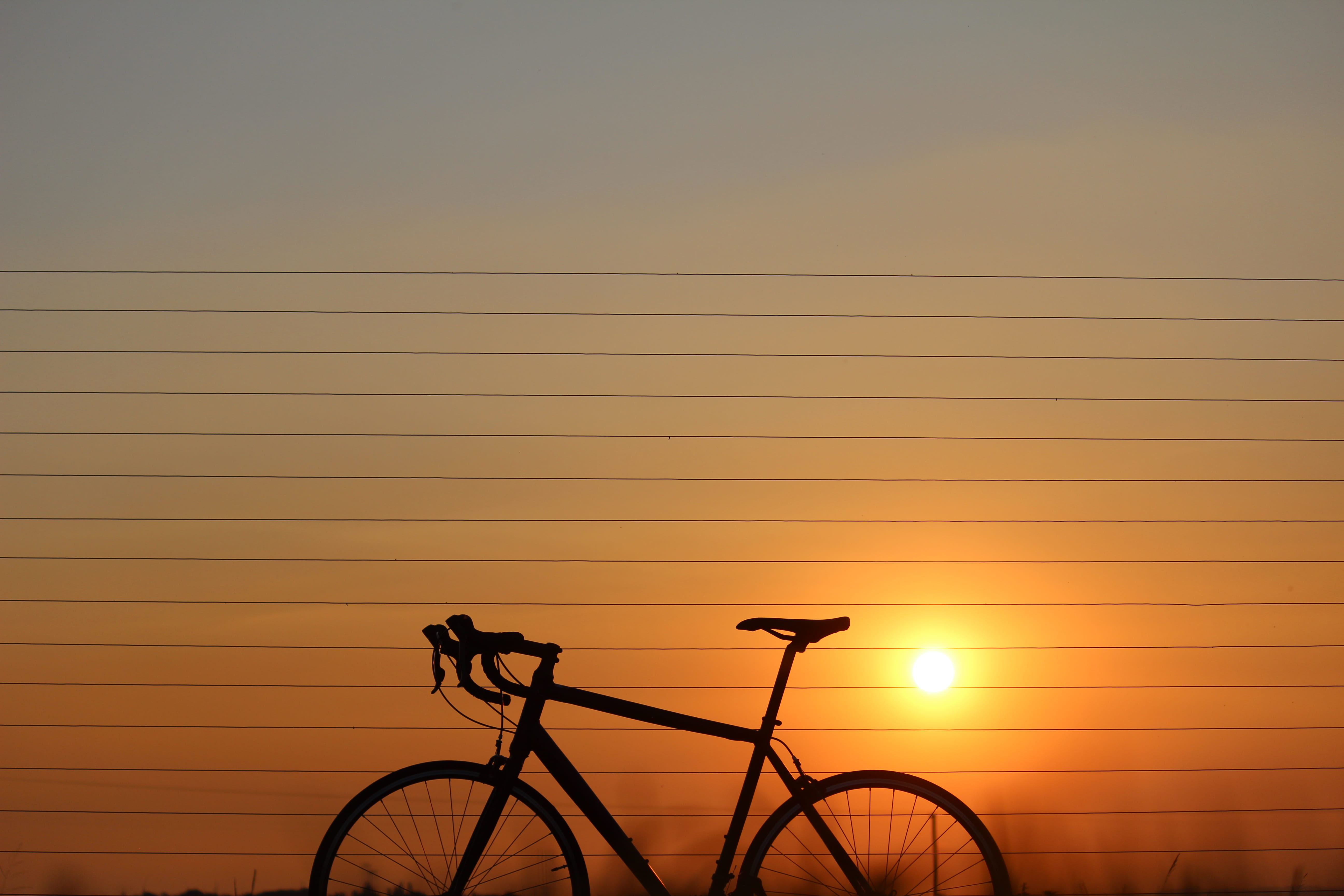 stationary, copy space, mode of transportation, sundown, fence, sunlight, golden, 5K, travel, nature, no people, power supply, africa, cycling, hour, southafrica, HD Wallpaper