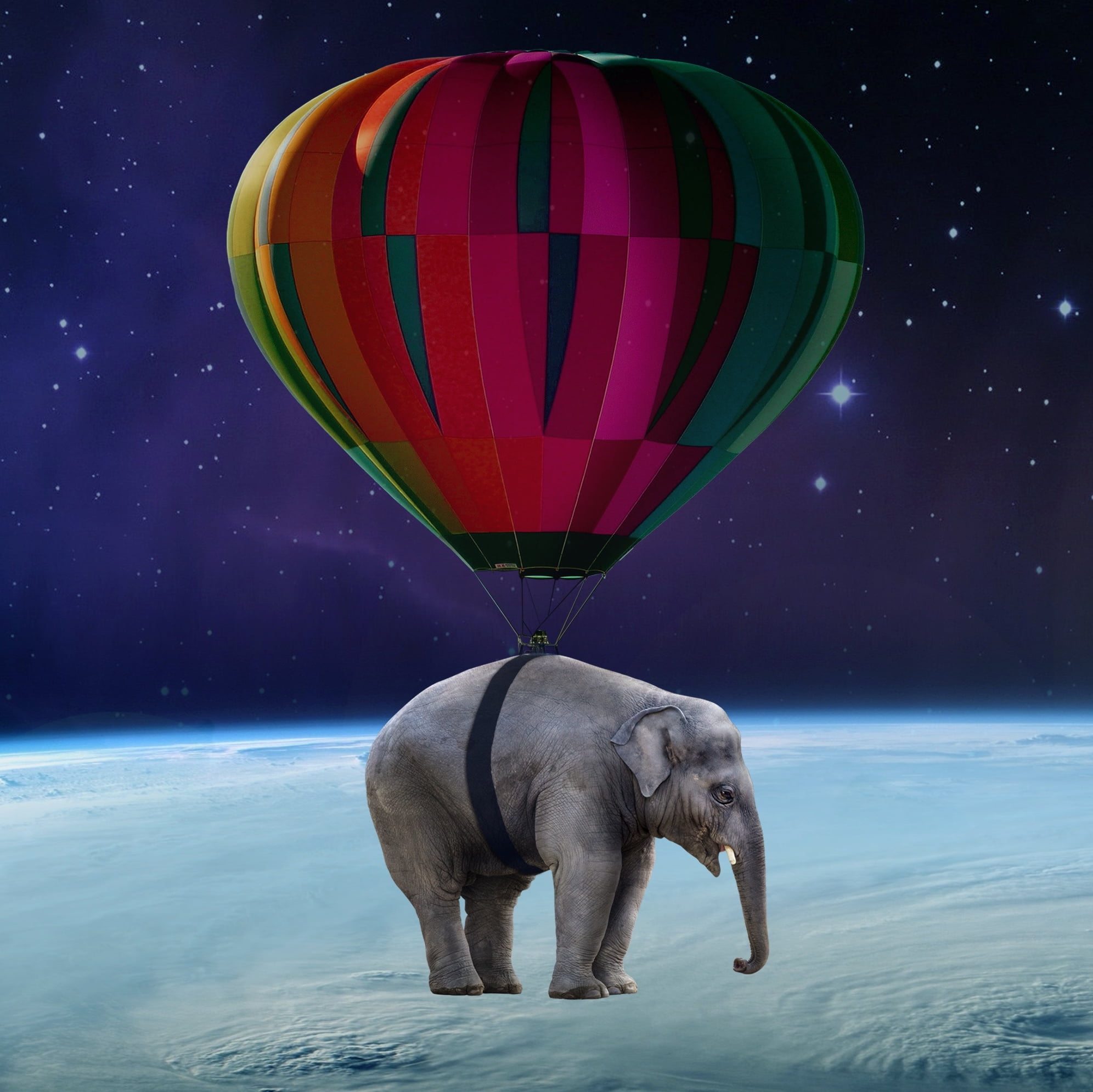 digital composite, no people, hot air balloon, 1080P, domestic animals, mammal, weightlessness, one animal, adventure, outdoors, transportation, space, HD Wallpaper