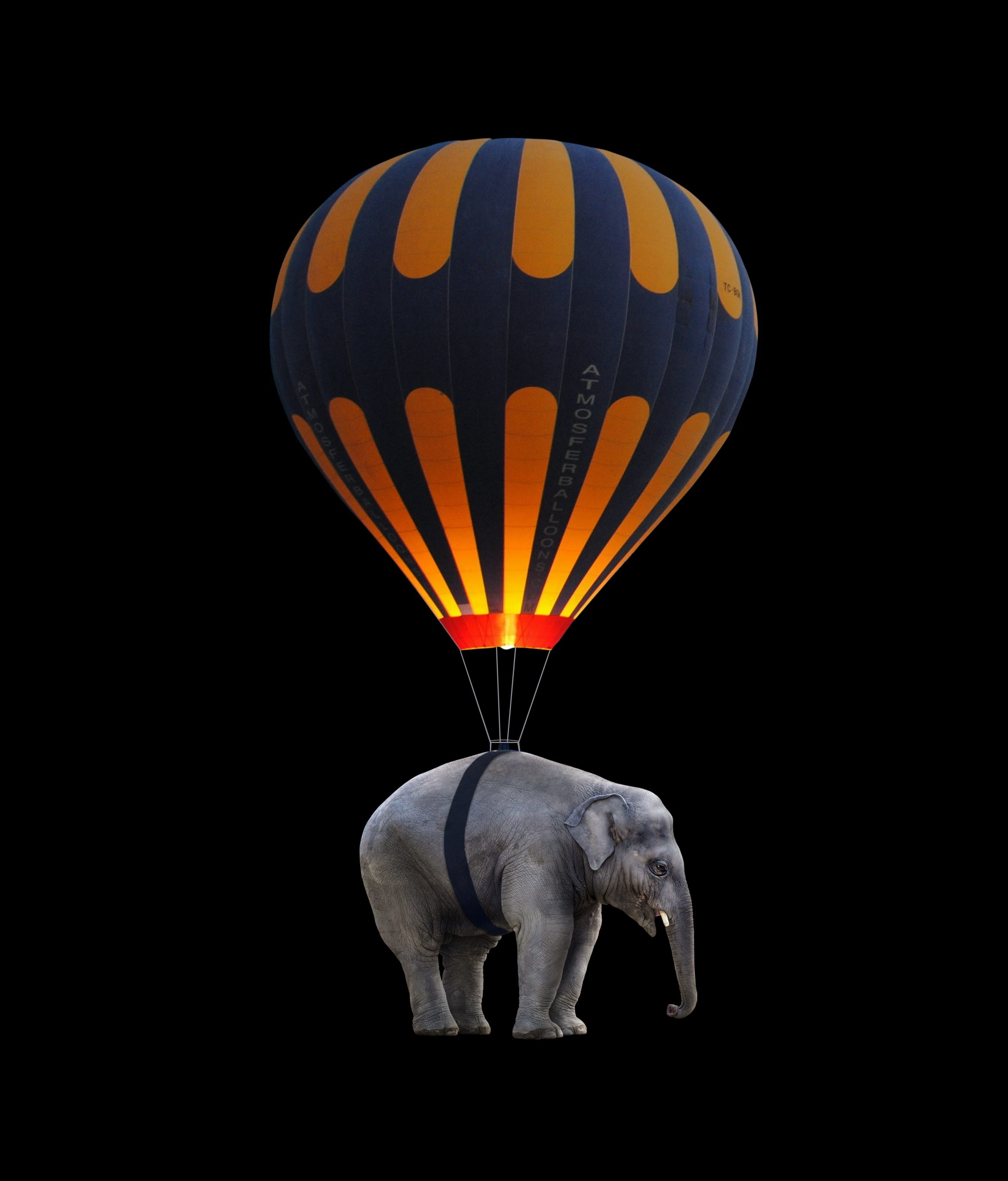 mammal, animal themes, hot air balloon, copy space, burning, nature, air, isolated, mid-air, fire, orange color, hot, floating, adventure, animal, elephant, Phone HD Wallpaper