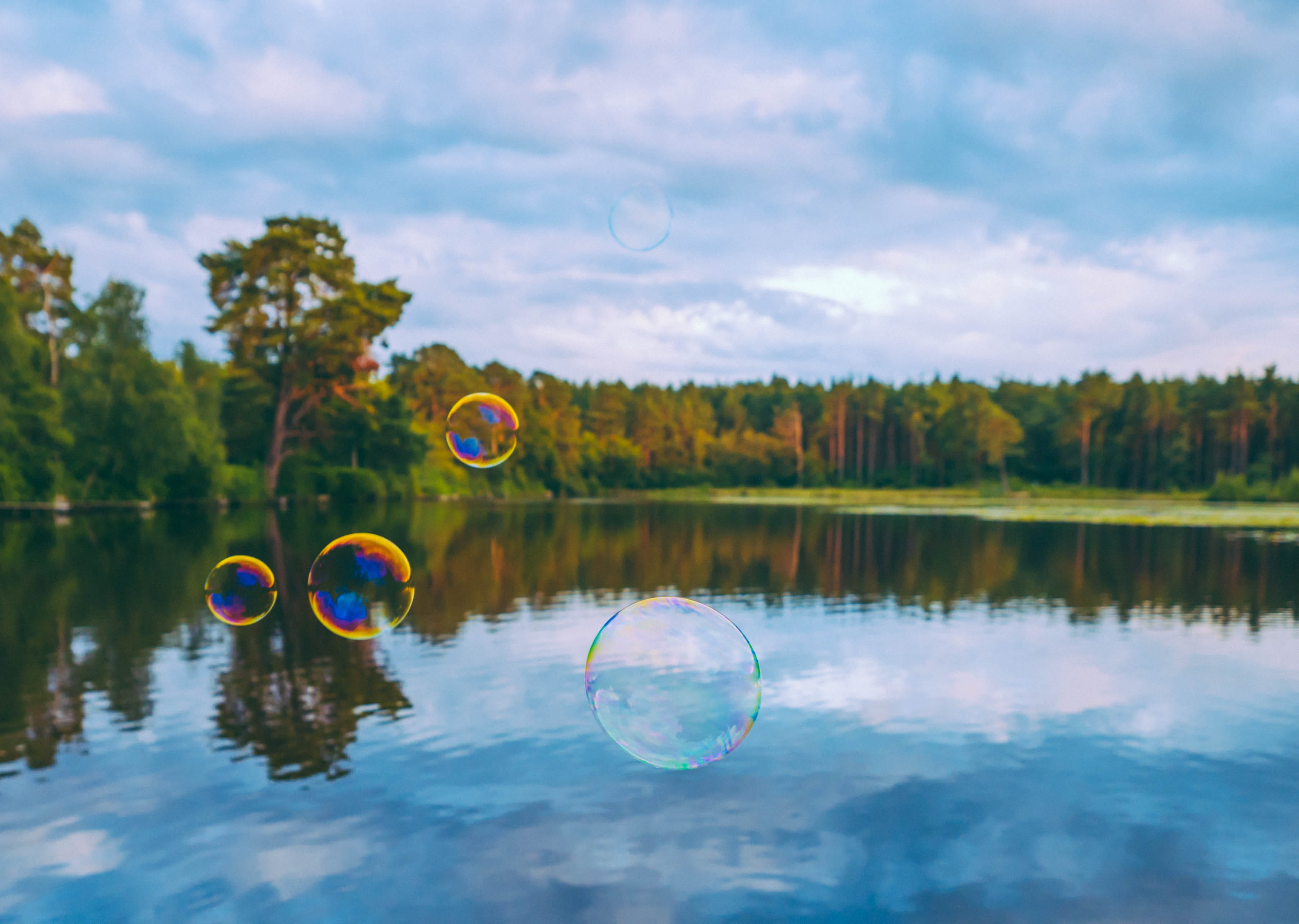 no people, floating, lake, plant, day, fragility, vulnerability, pond, nature, forrest, sky, united kingdom, pirbright, outdoors, tree, flying, mid-air, HD Wallpaper
